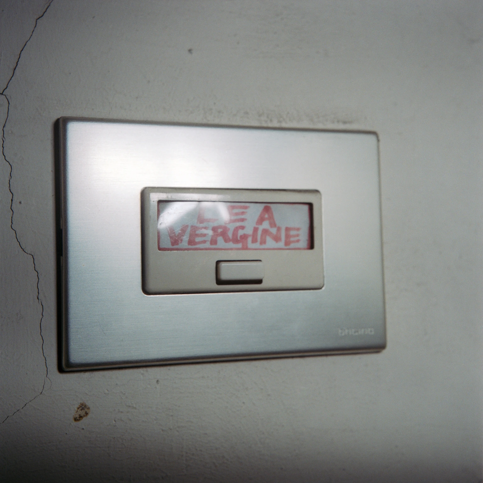 Lea Vergine