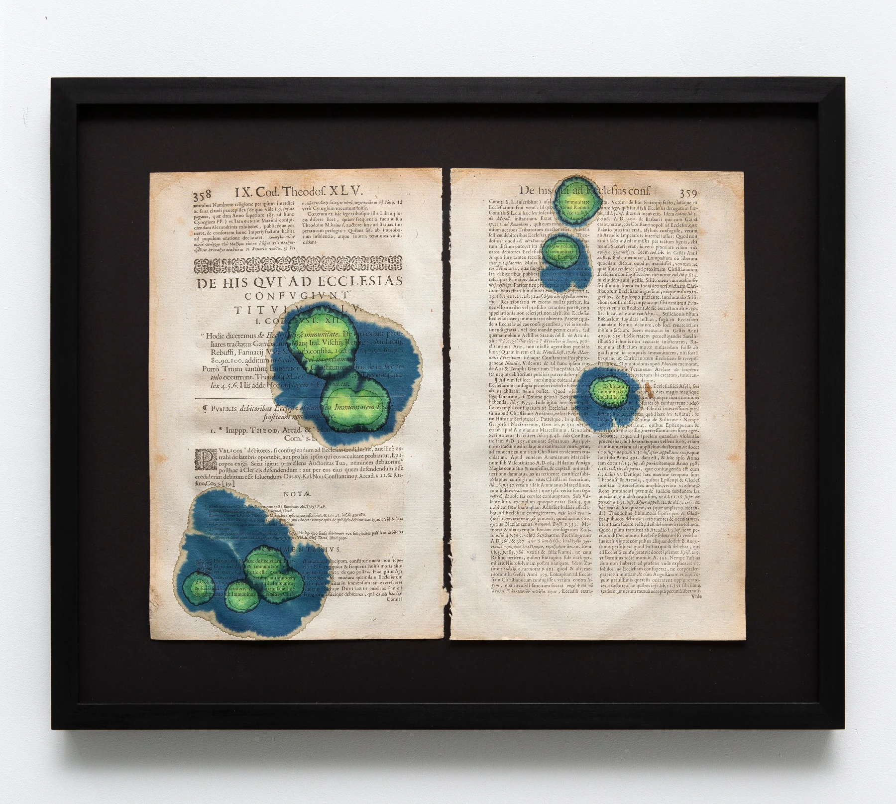 Starfish and Citrus Thorn (Immunity of the church/pretext of the immunity of a church)