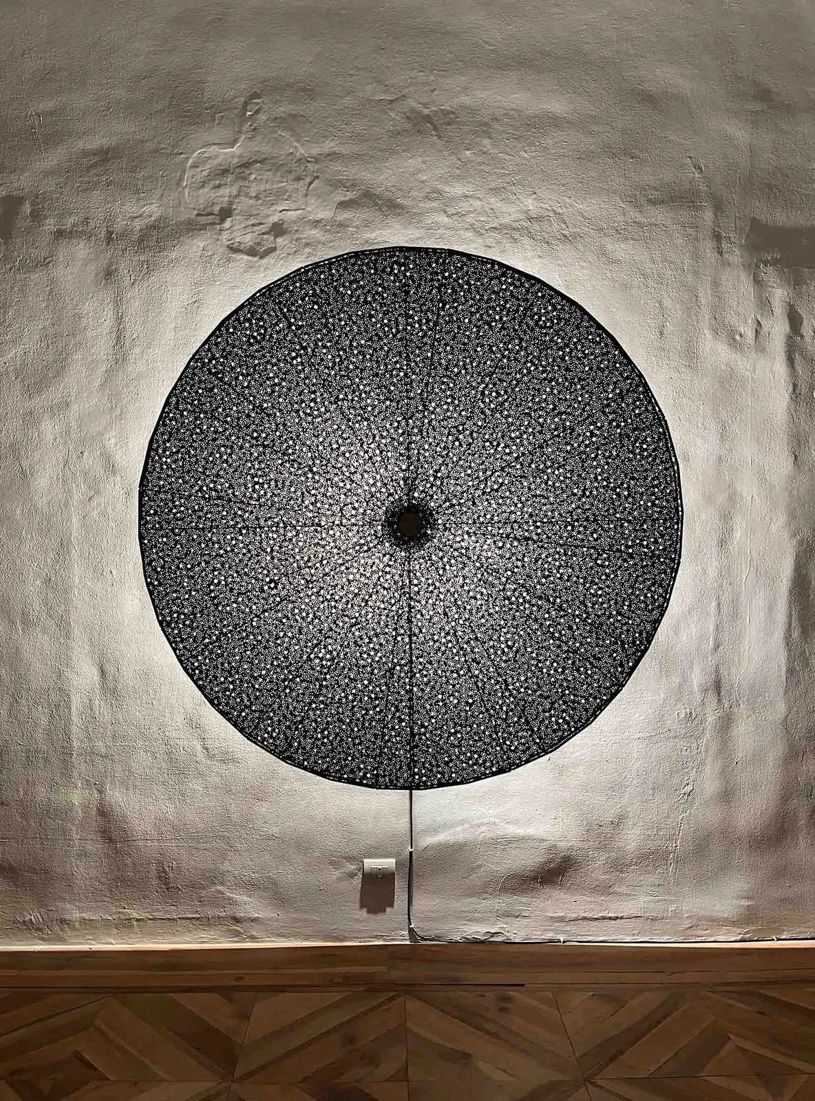 Patterns of absence