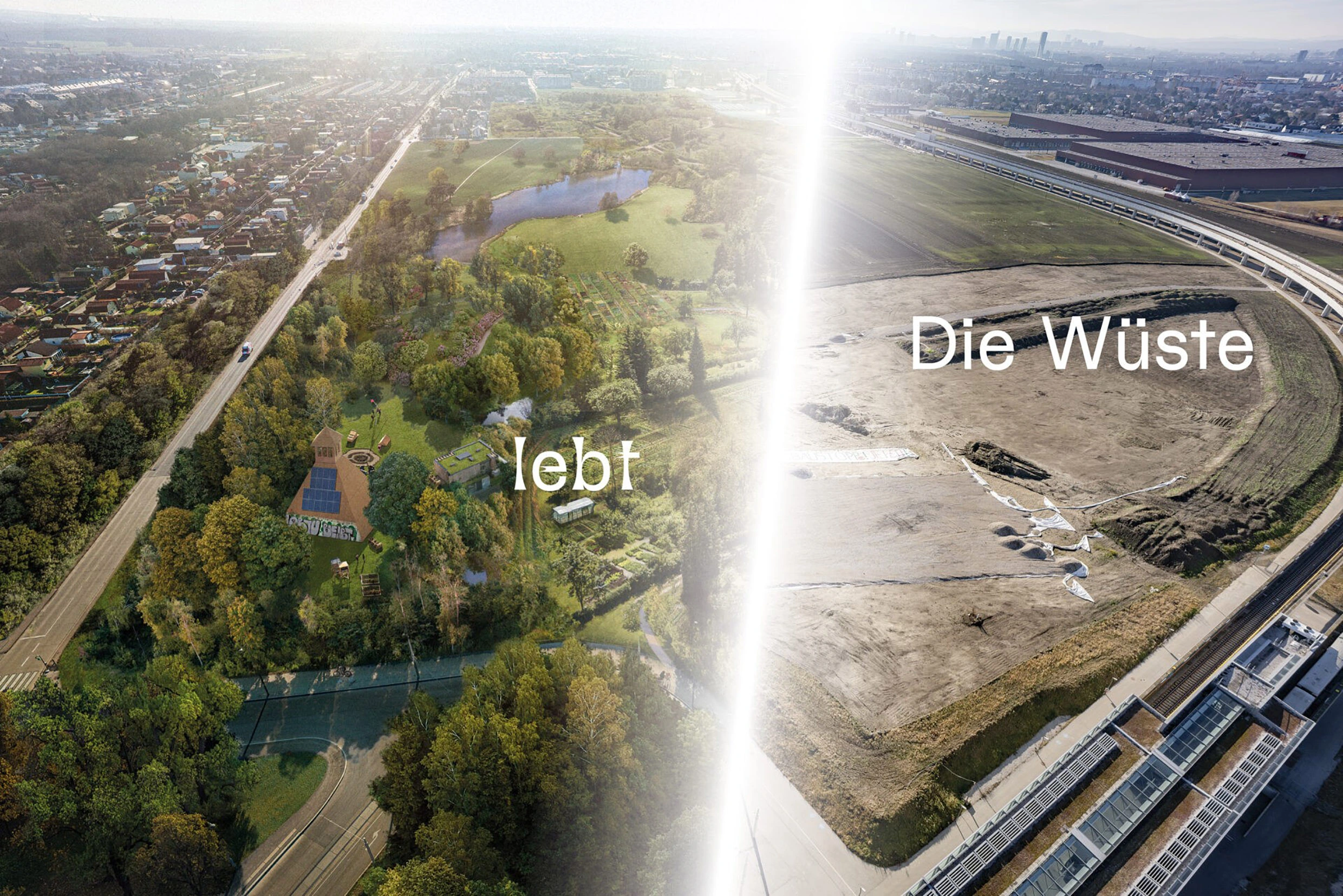Die Wüste lebt