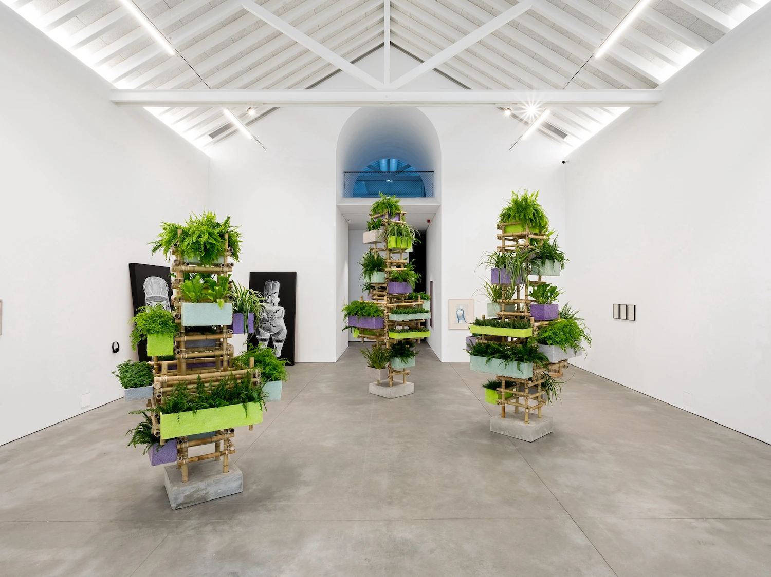 Galeria Francisco Fino