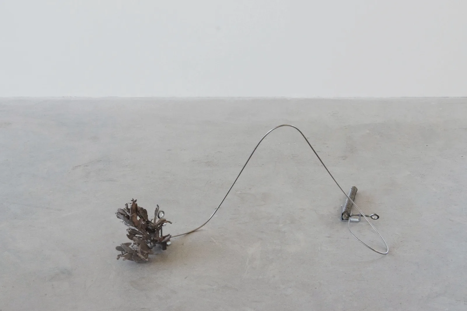Untitled (giunti/innesti)
