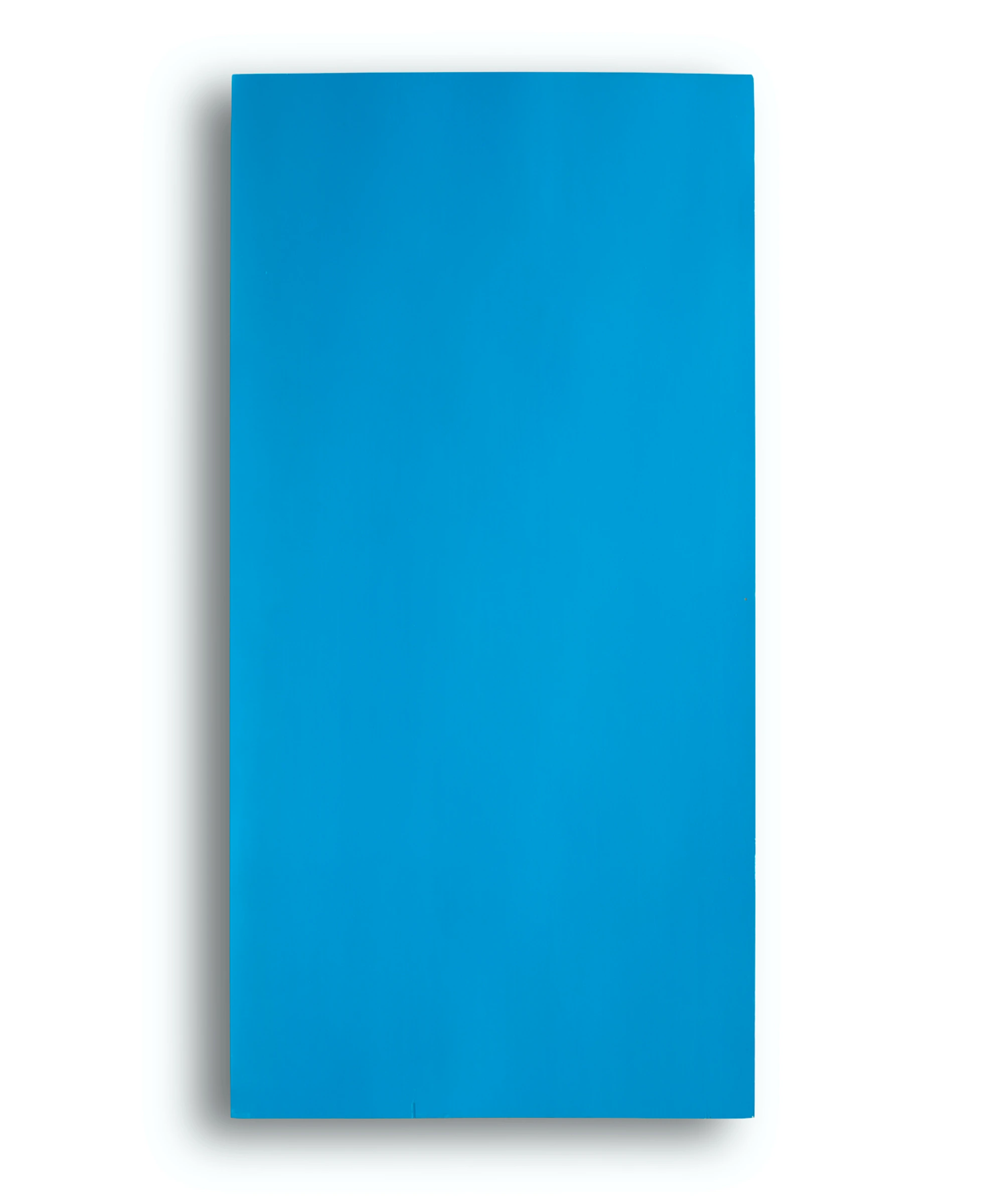 Sheet from "Fogli da un taccuino di legno" (Blu Twingo)