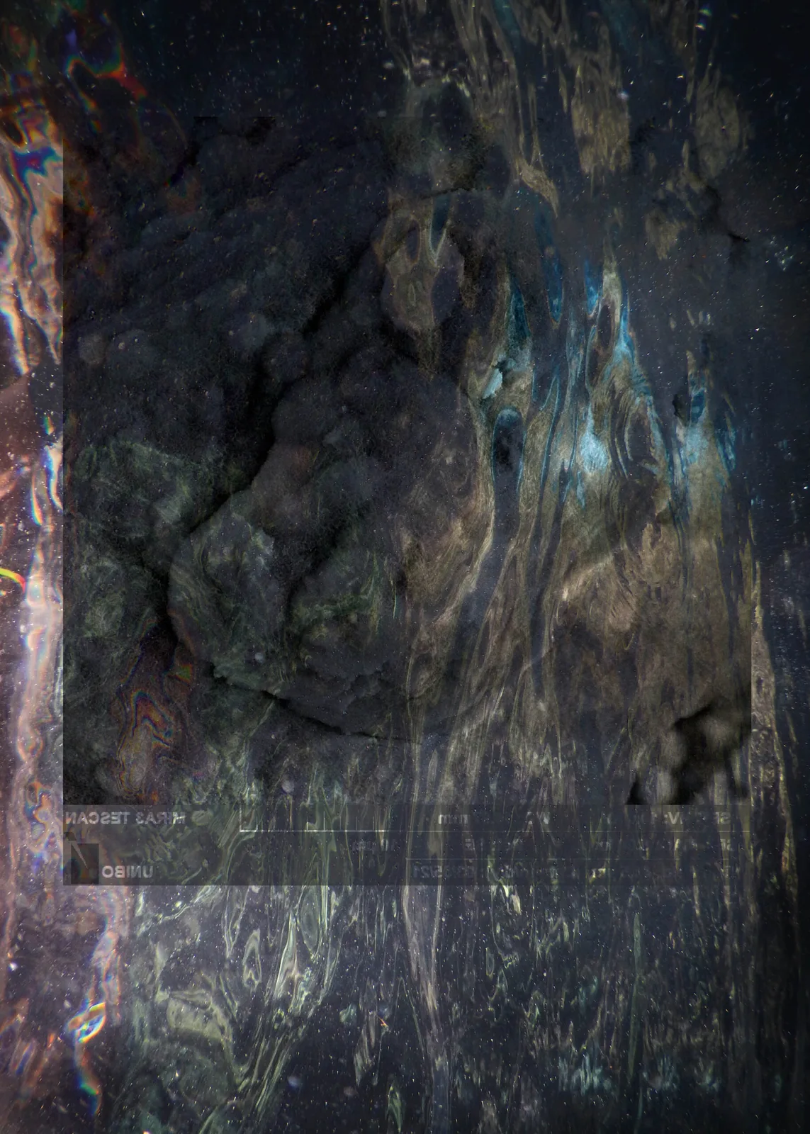 Sea Bones (Layers)