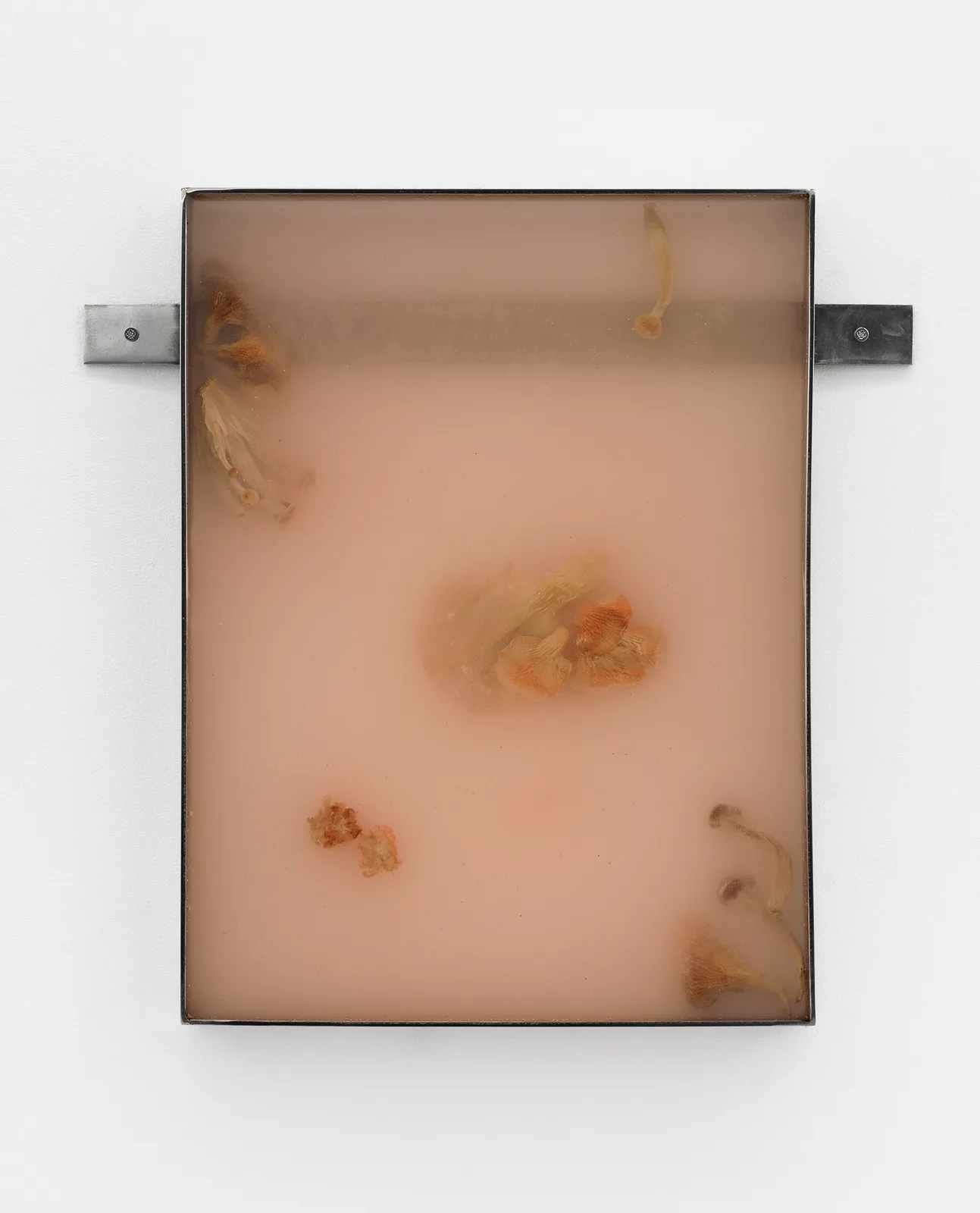Fruiting Bodies II (Resin series)