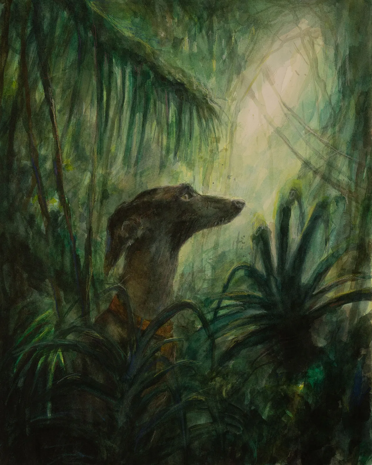 Robert in the wild 02