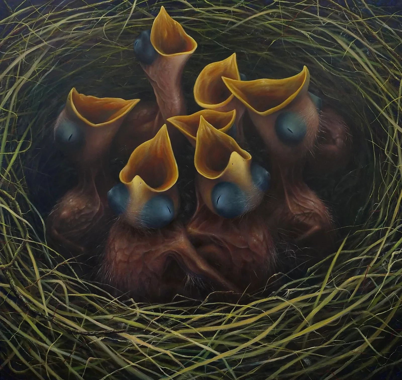 Davide Quartucci il nido 01