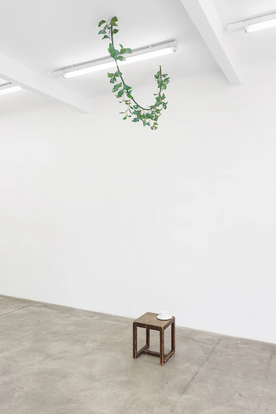 A drip in a room in a house