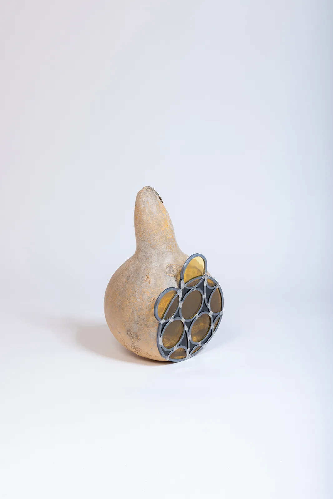 Zucca Vetrata