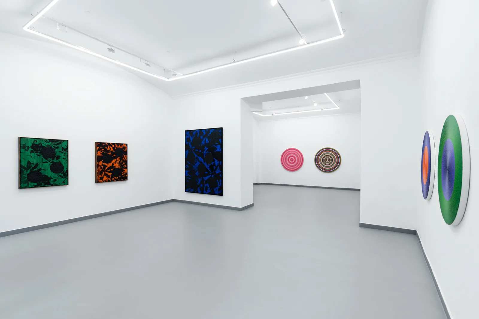 Ani Molnár Gallery
