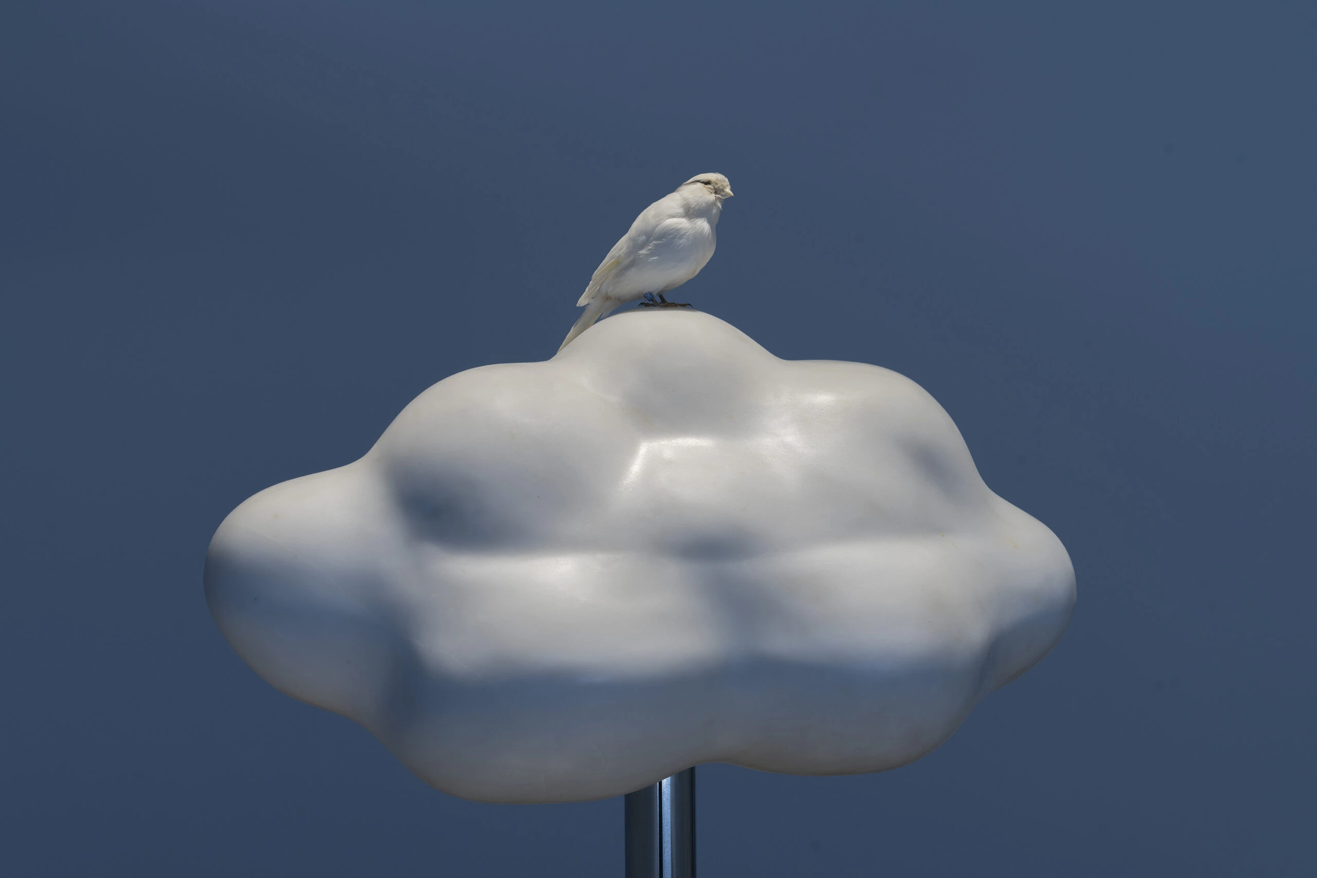Clouds never say hello