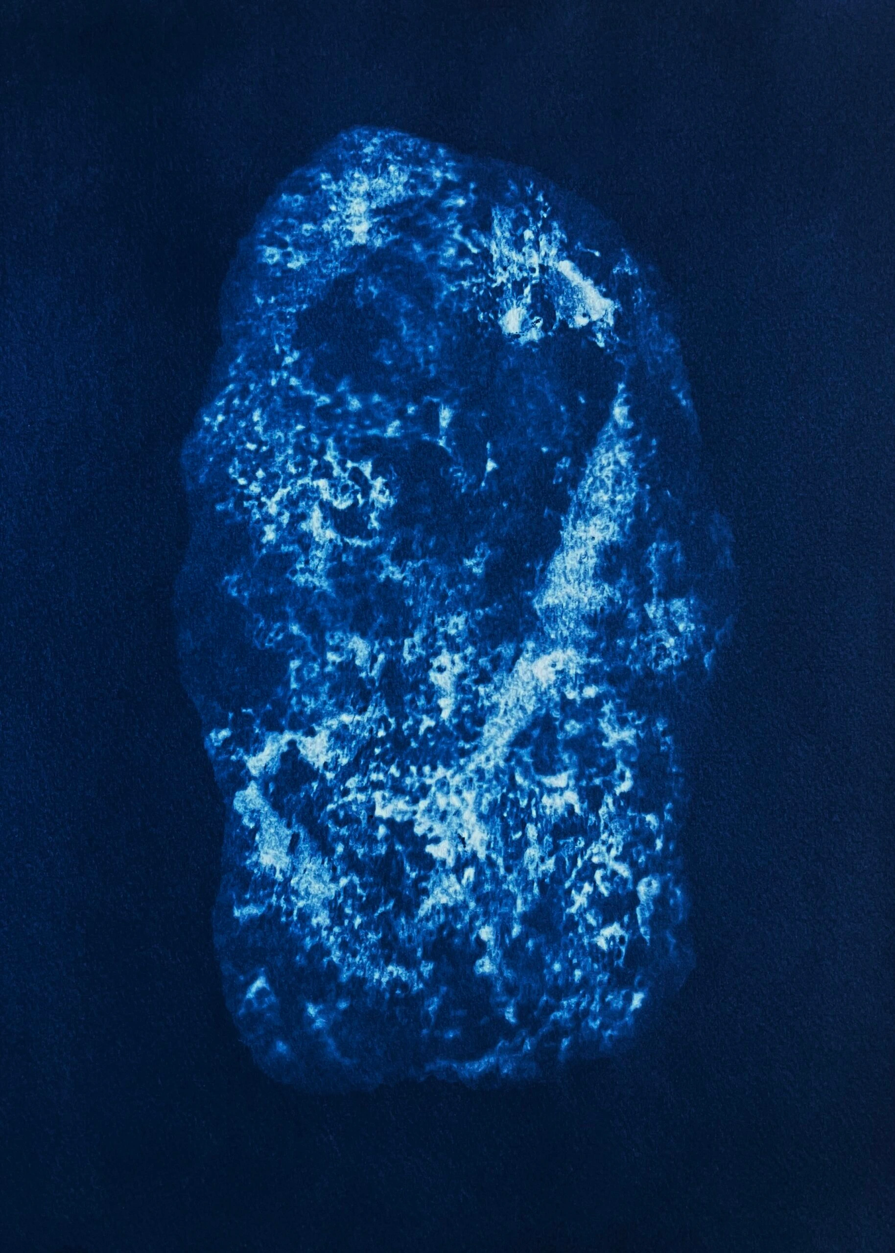 Earthly Perseids (34°49’13.5”N 133°13’20.3”E Naganomura, Hiro-shima)