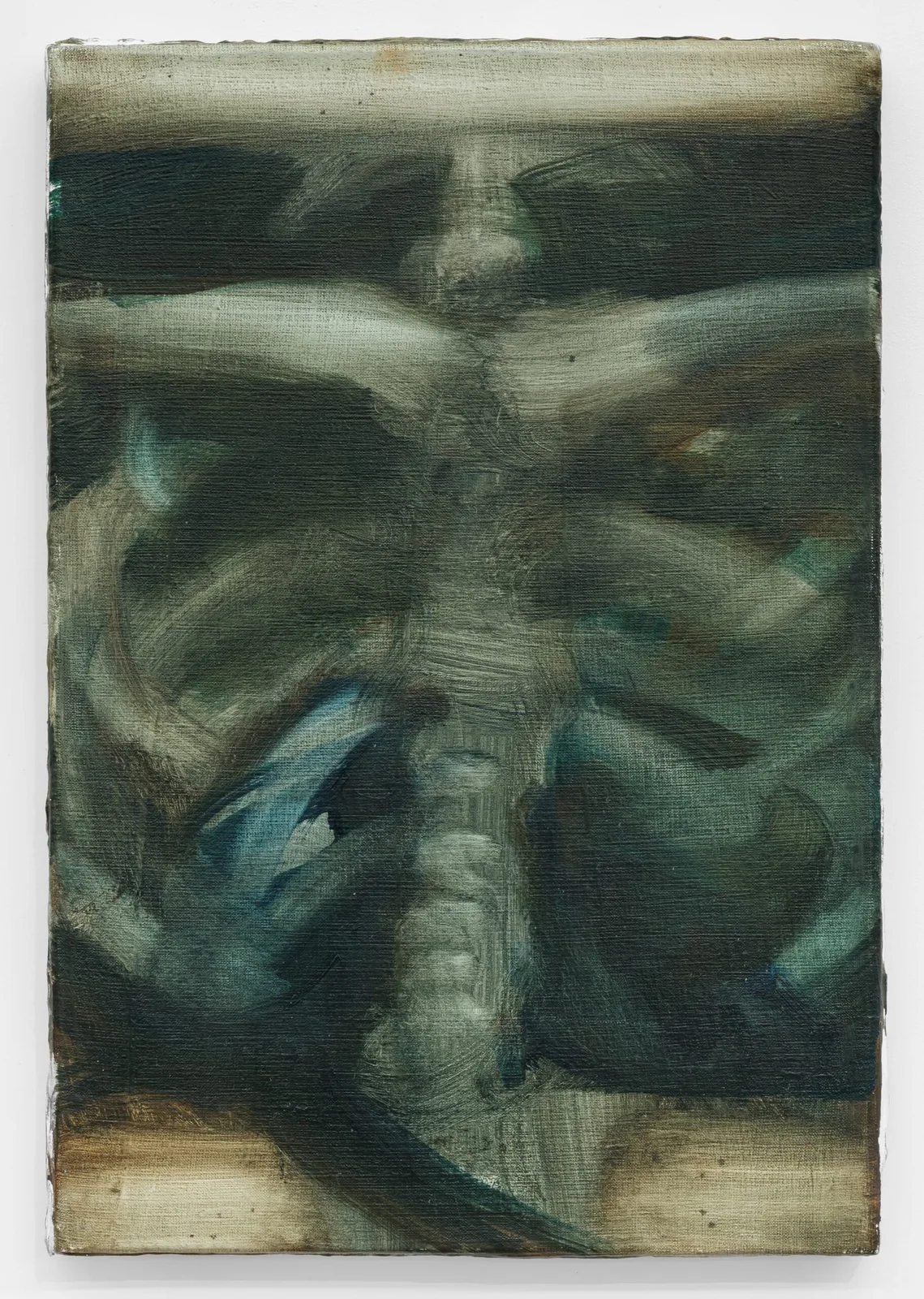 Thorax