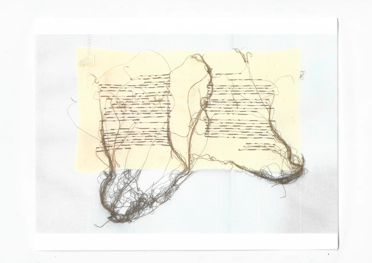 Pagine
