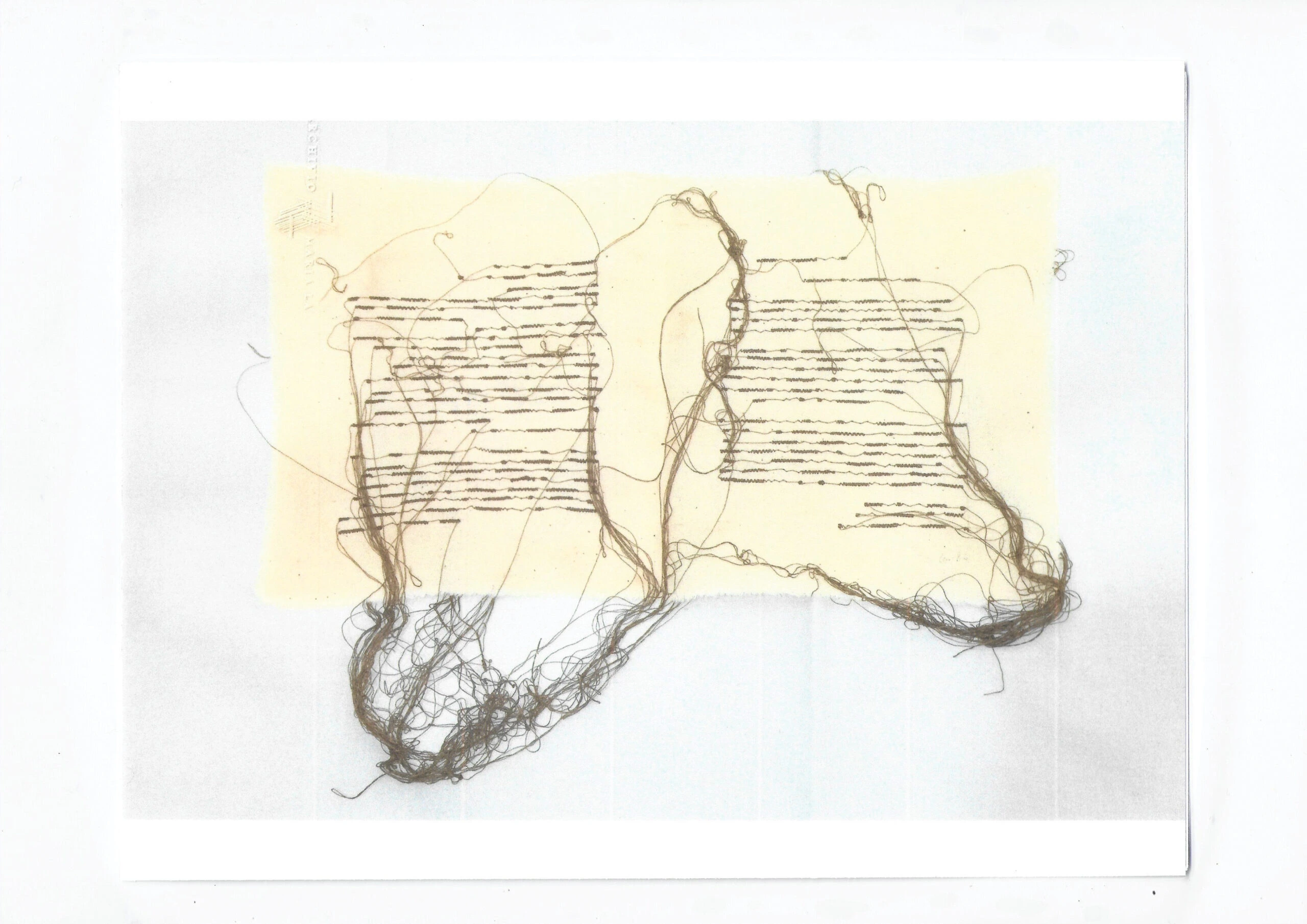 Pagine
