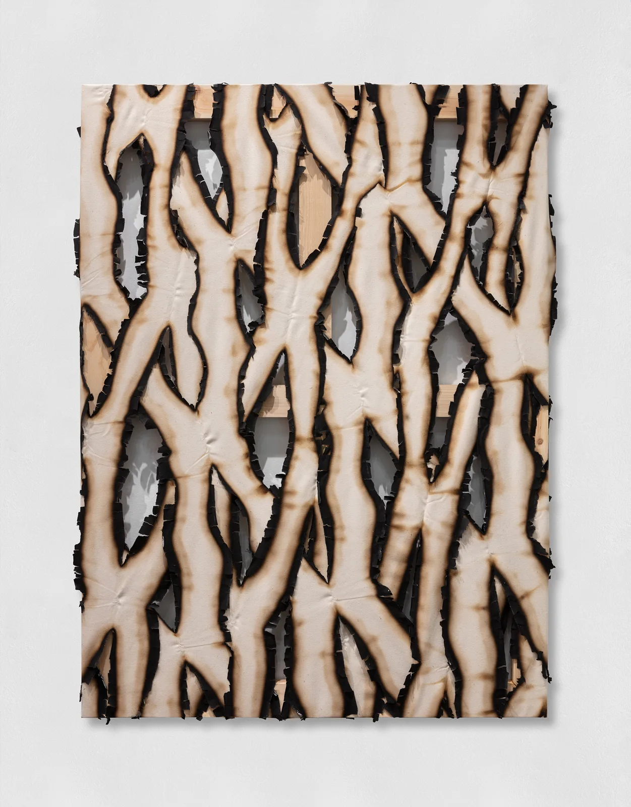 Untitled Burnt Canvas IV