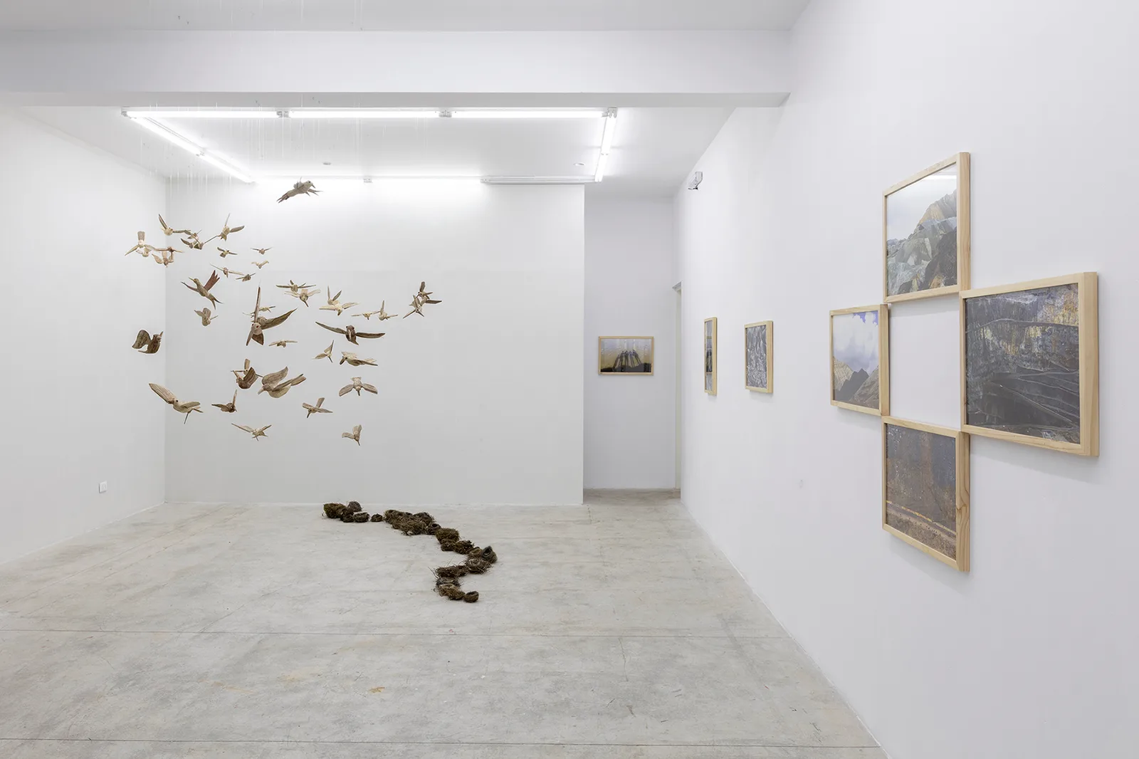 Ginsberg Galeria