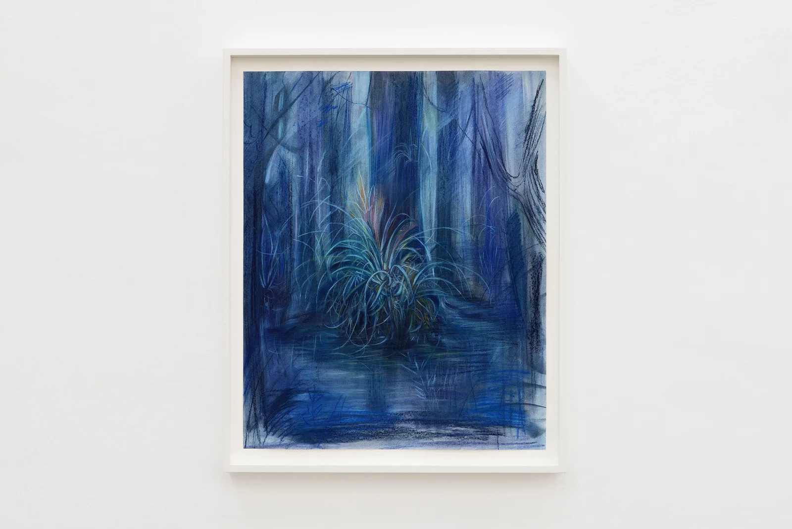 Alina Perez Bromeliad