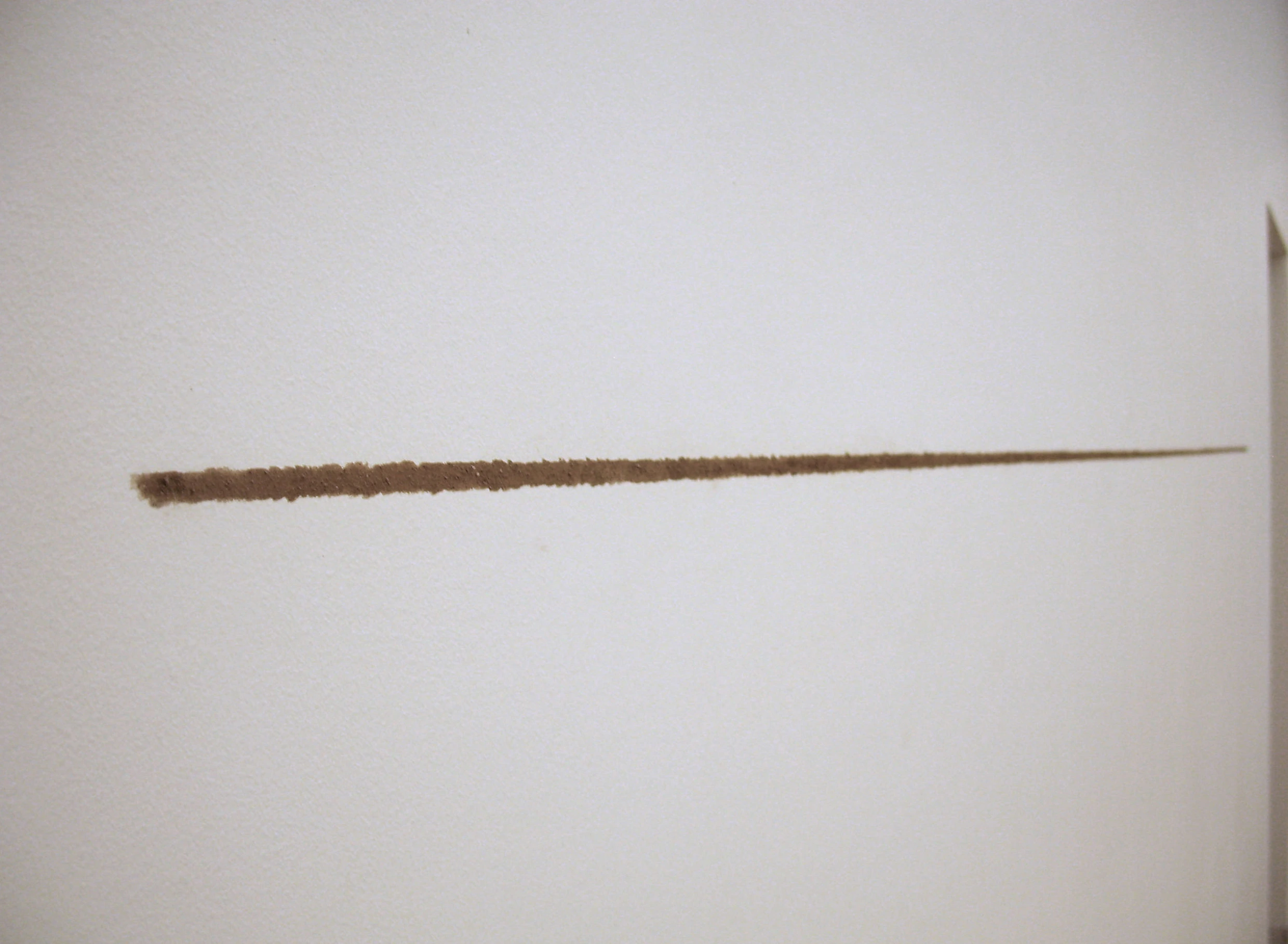 Linea terra