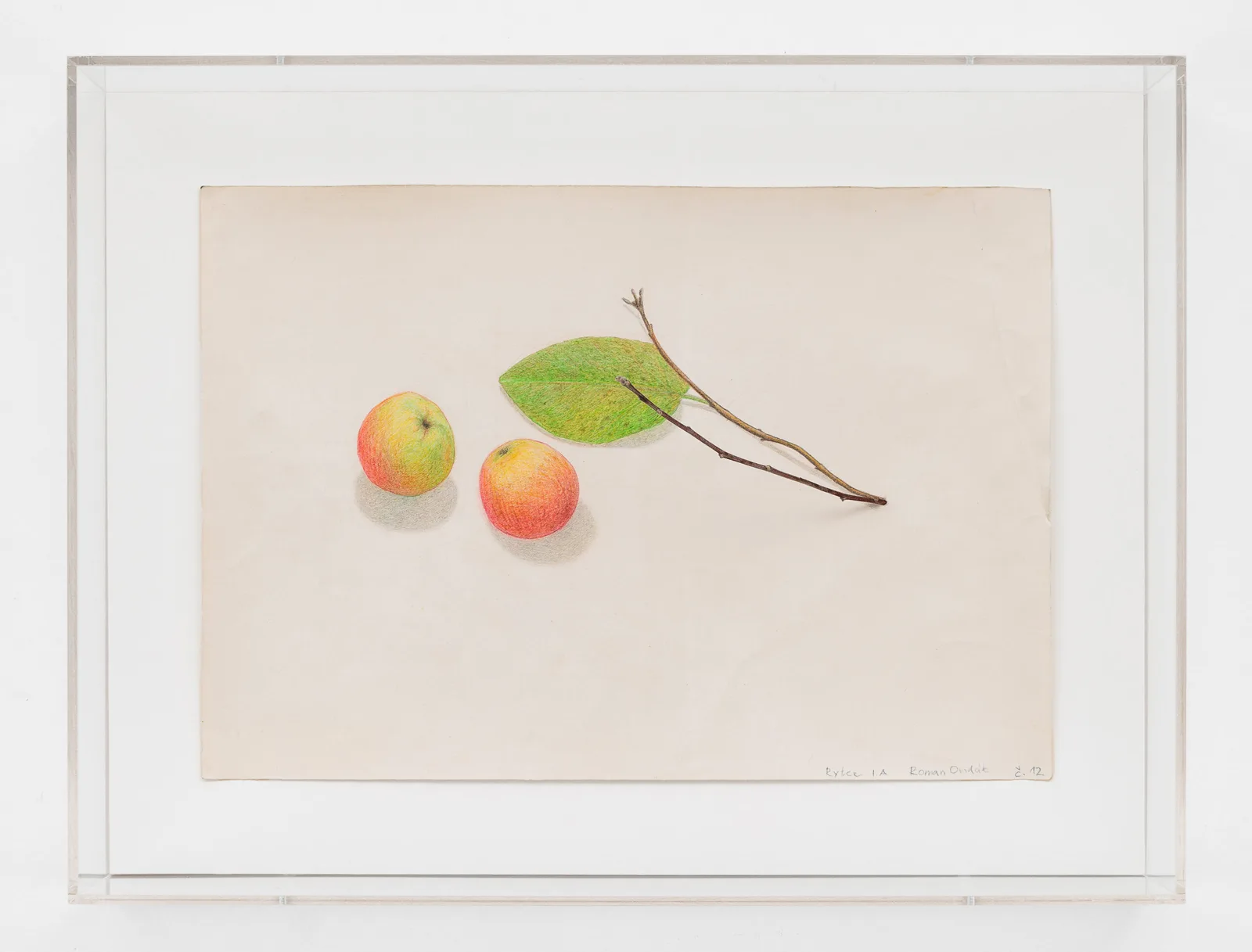 From Nature II