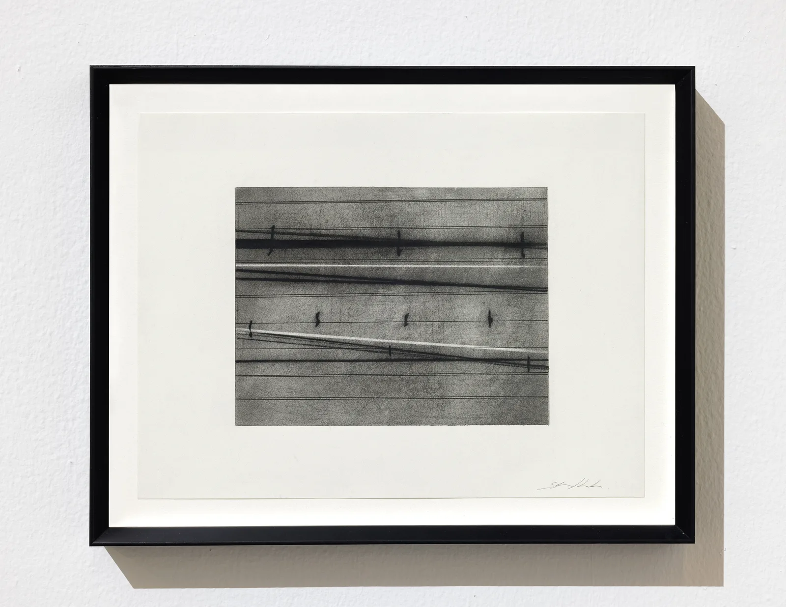 Variations in Grey (16)