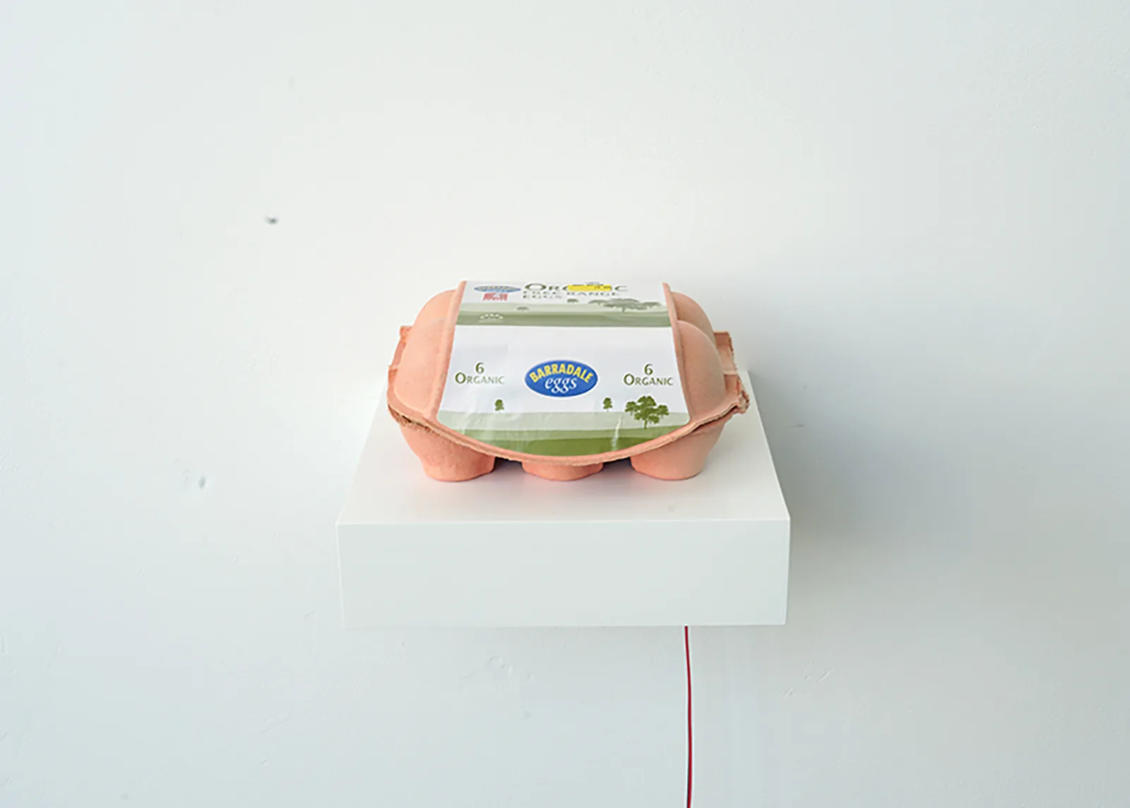 Untitled (0UK06002)