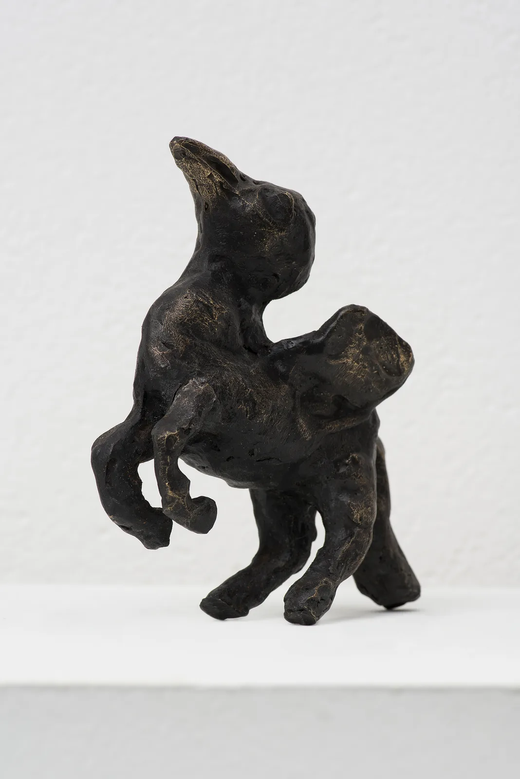 Ana Mazzei, Vincent 02