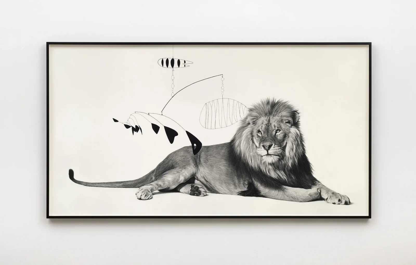 Lion with Mobile