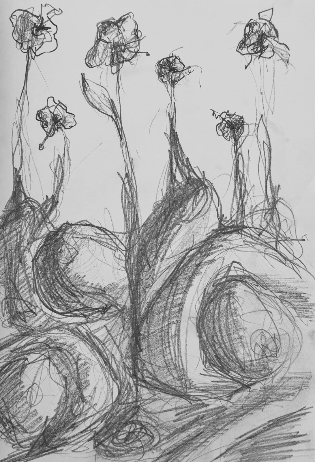 Untitled (Perennial Series)