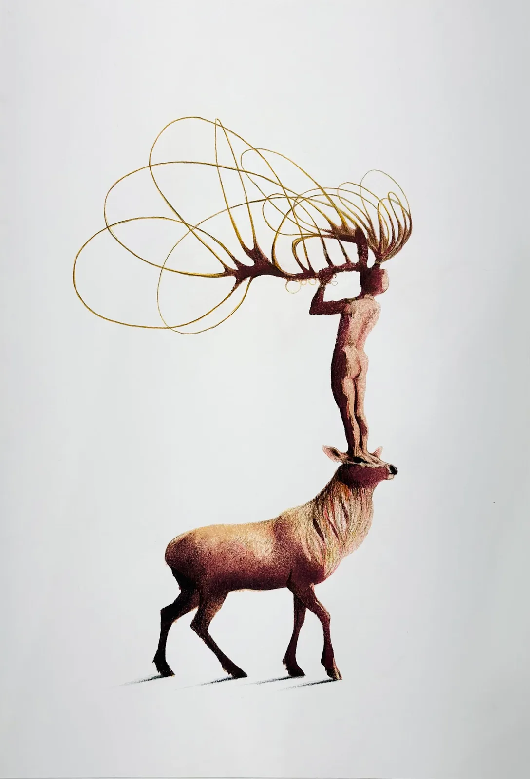 Elevazione
