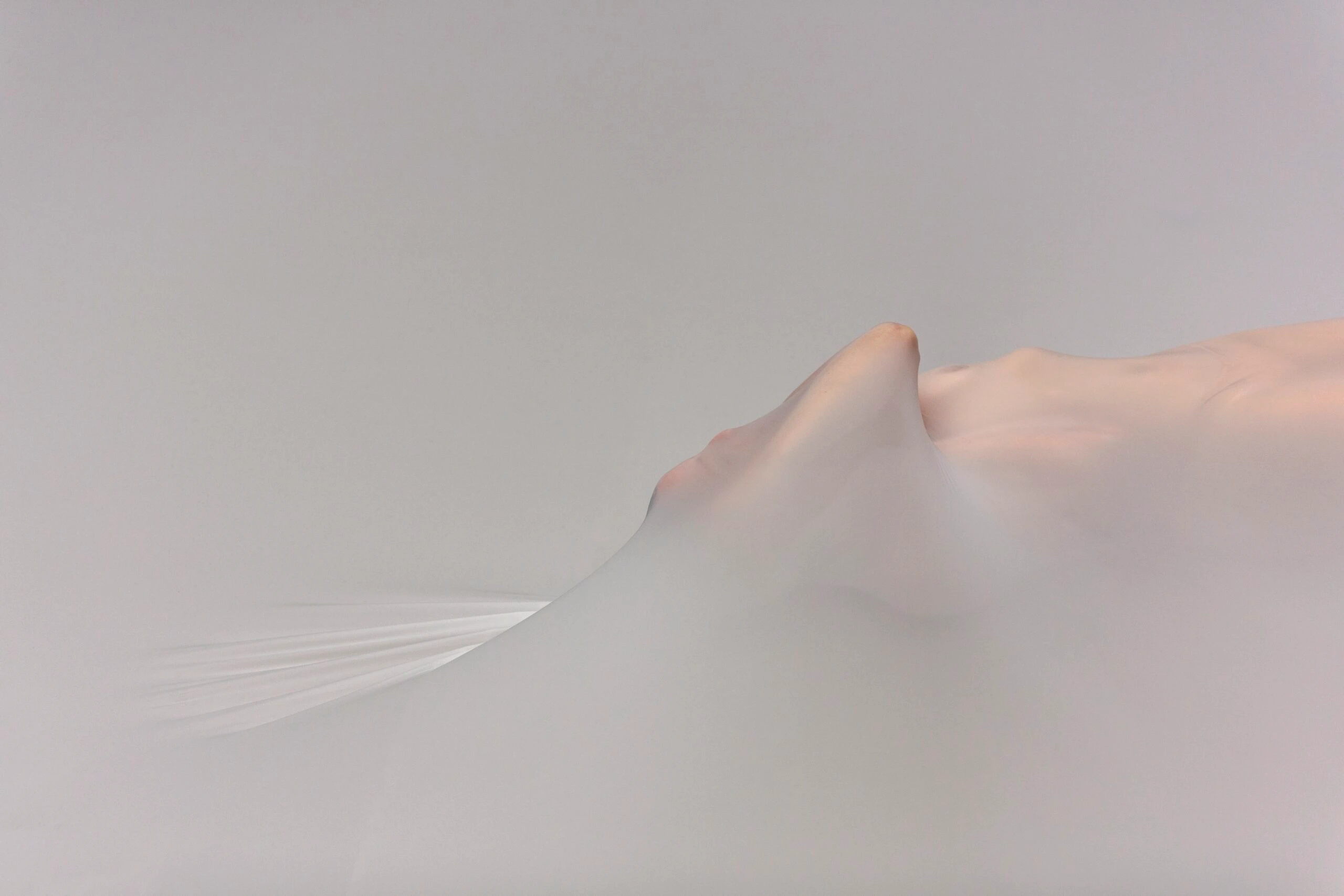 En Caul, still # 3