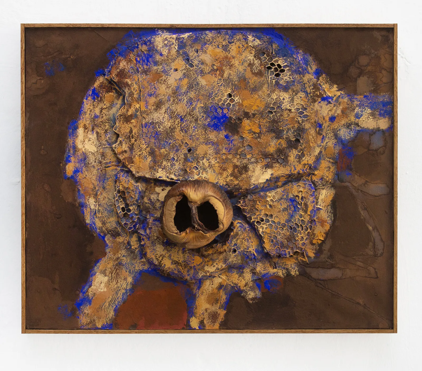 Untitled, from 'Head Accommodation Issues’ series
