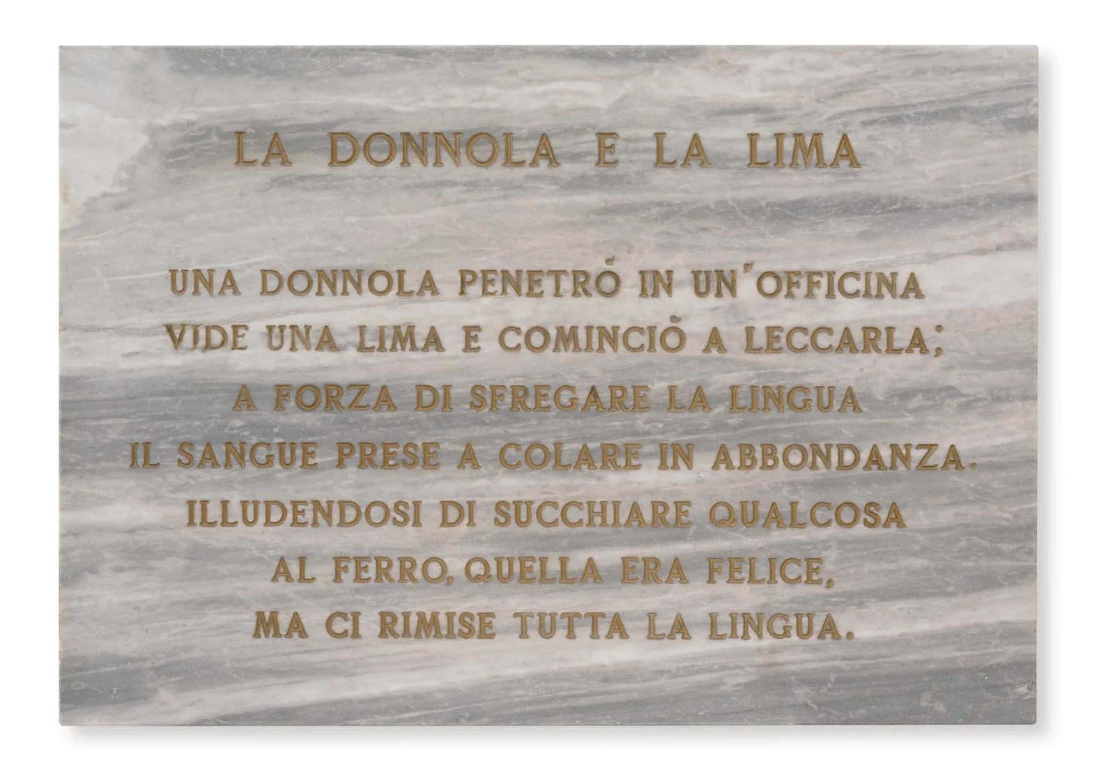 La donnola e la lima