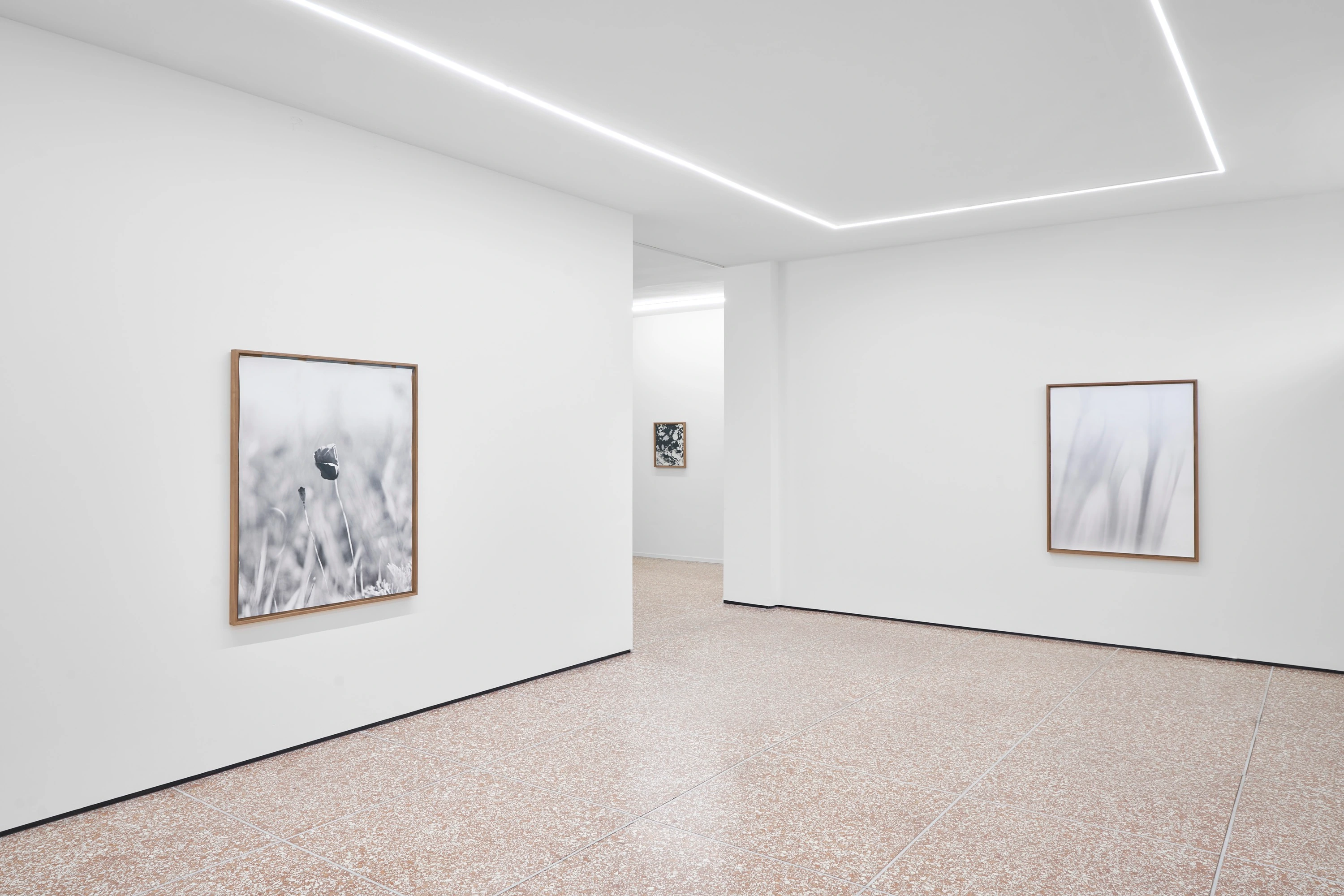 Loom Gallery