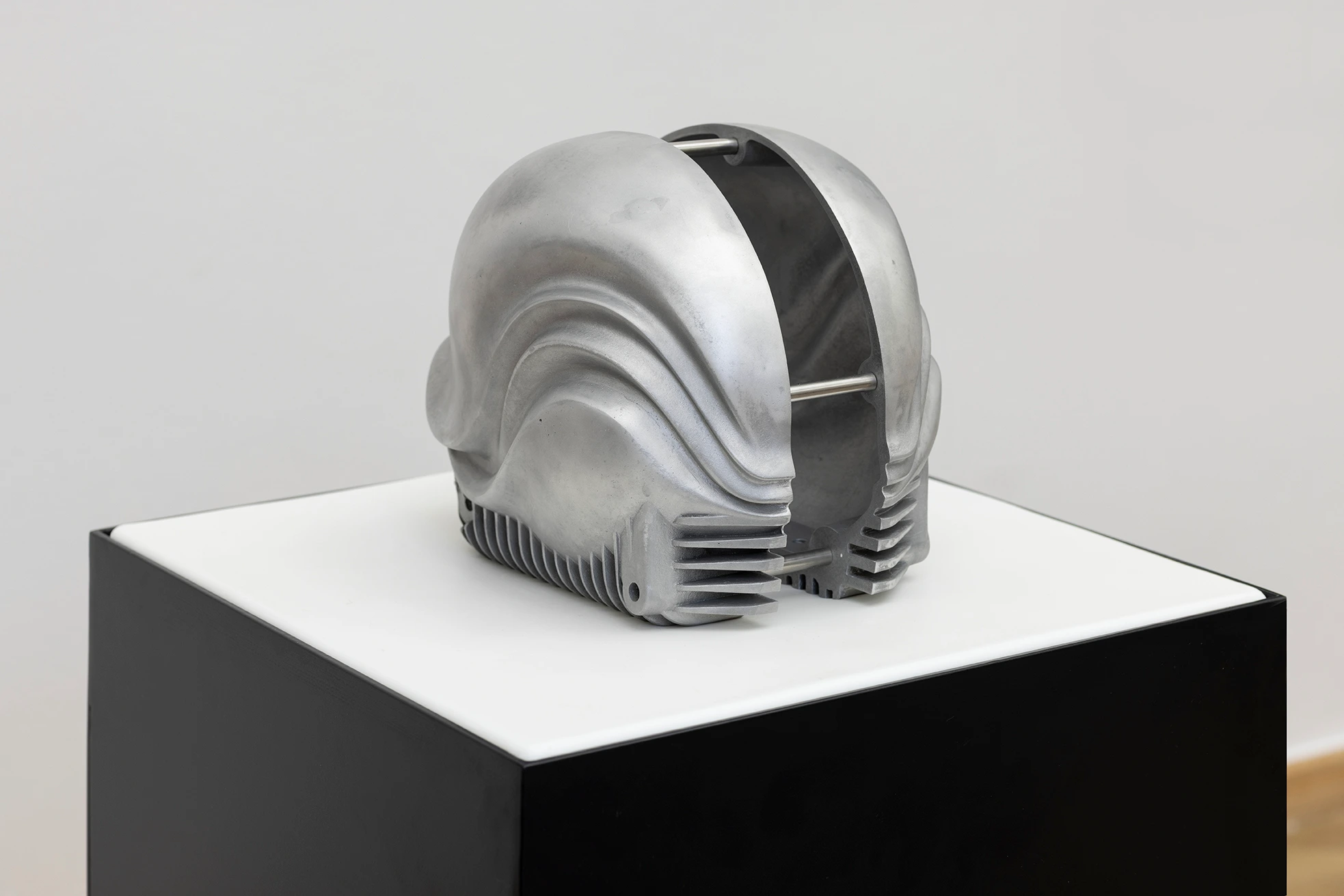 Nautilus