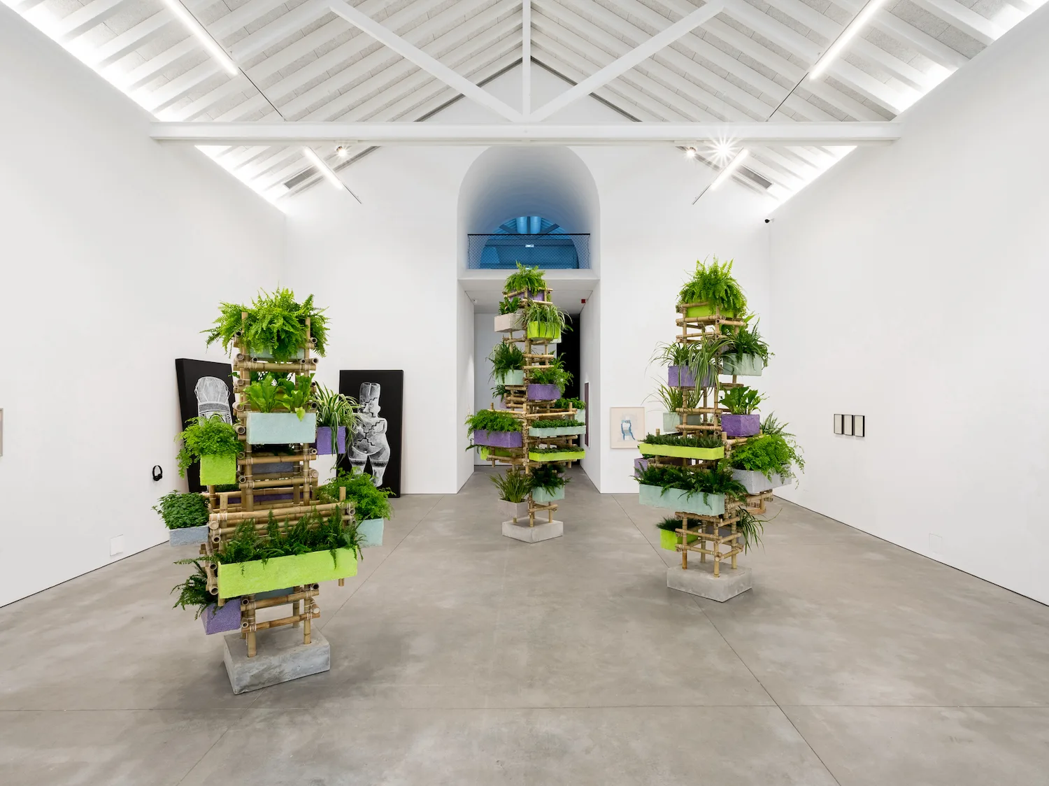 Galeria Francisco Fino