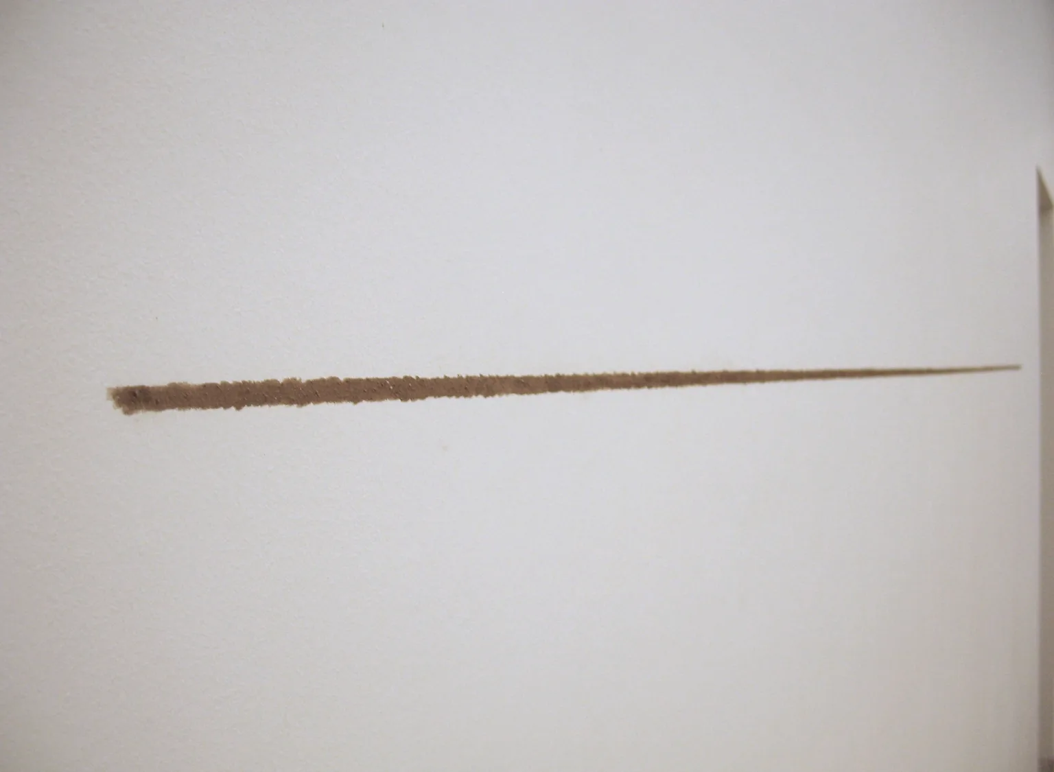 Linea terra