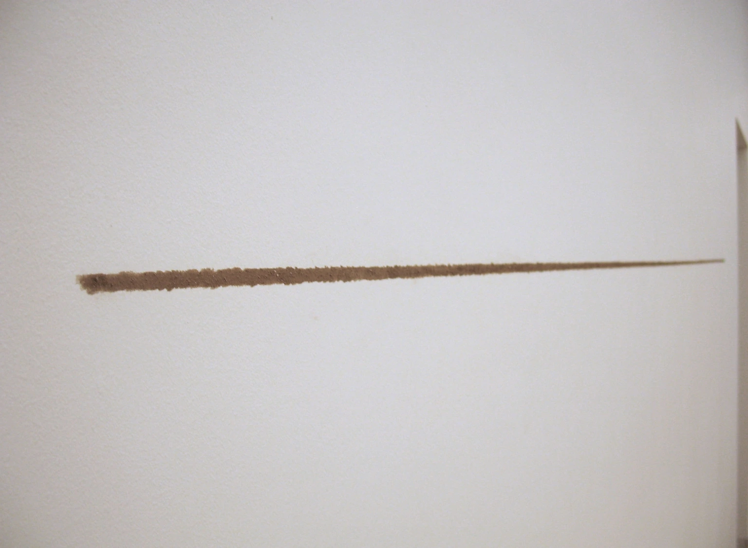 Linea terra