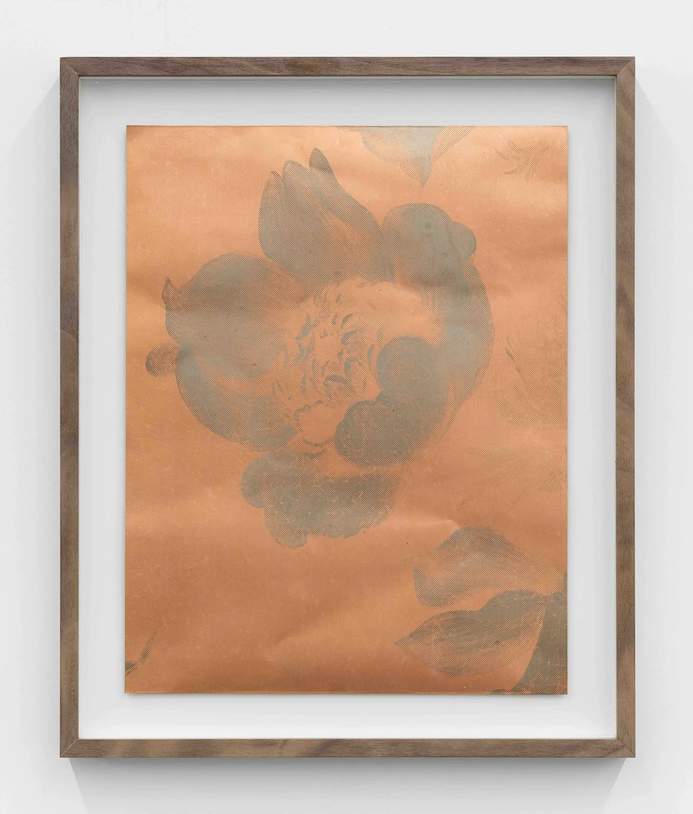 Silver (One Flower, negatif)