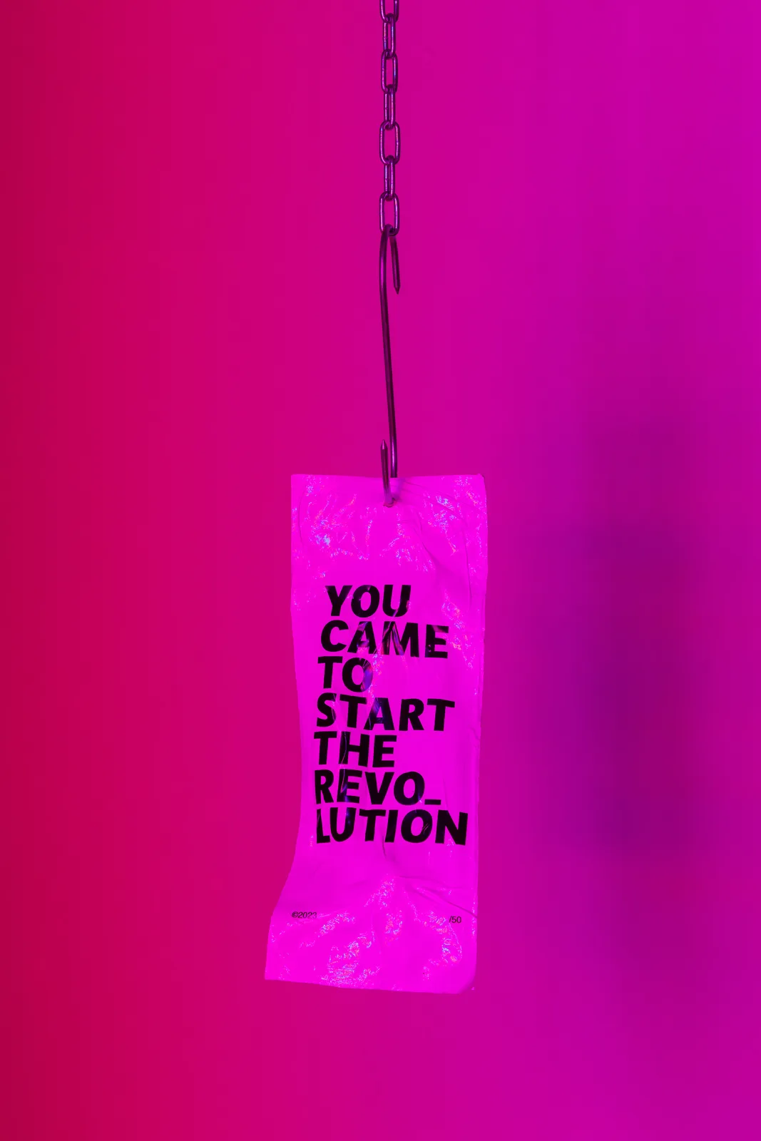 You Came To Start The Revolution