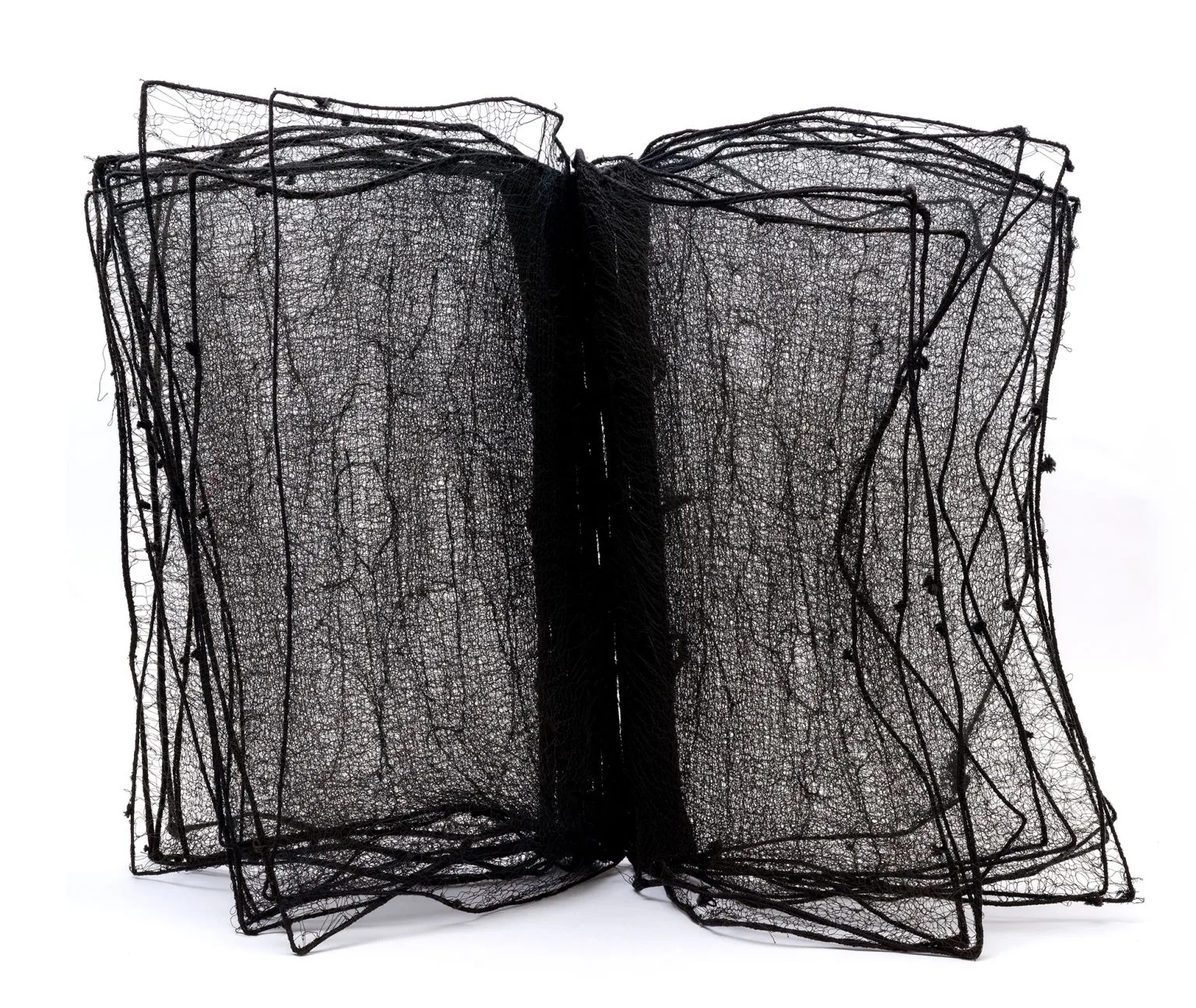 Big Black Book