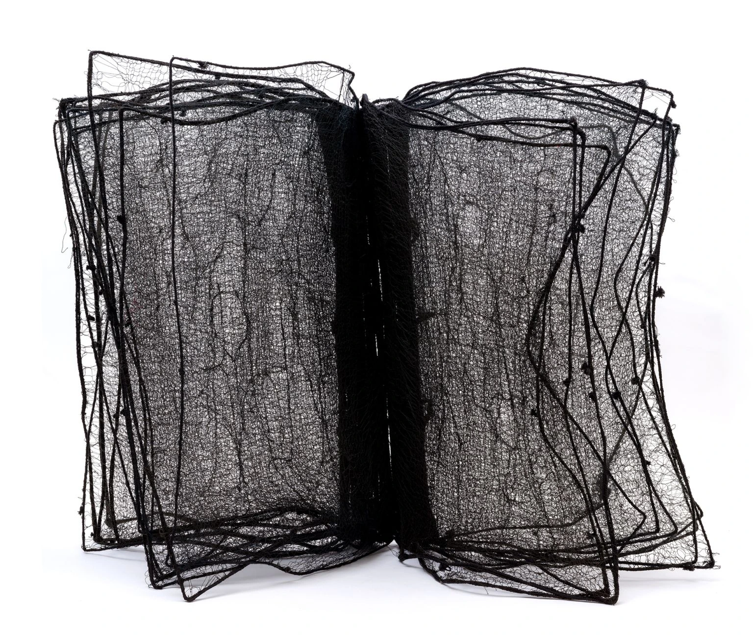 Big Black Book