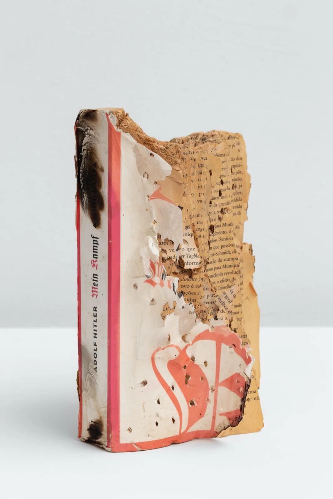 Untitled (Human Condition)
