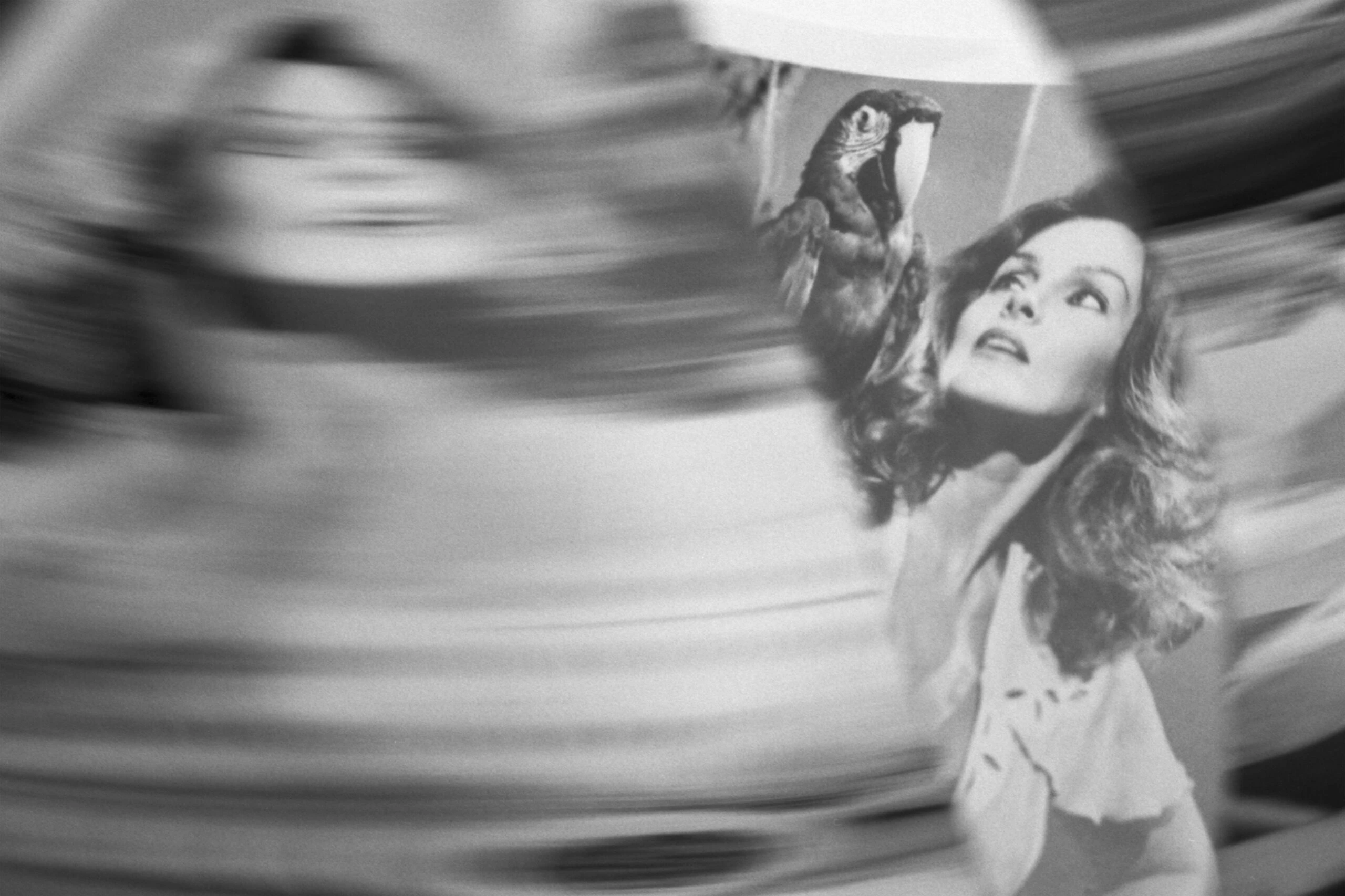 Untitled (Priscilla with Macaw) #1 - From the series News from Wonderland