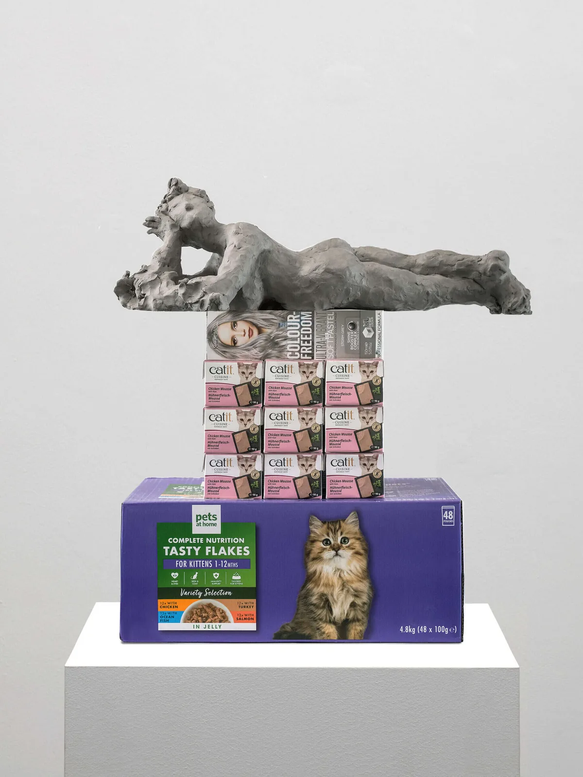 Proposal for a Monument to a Reclining Female #22