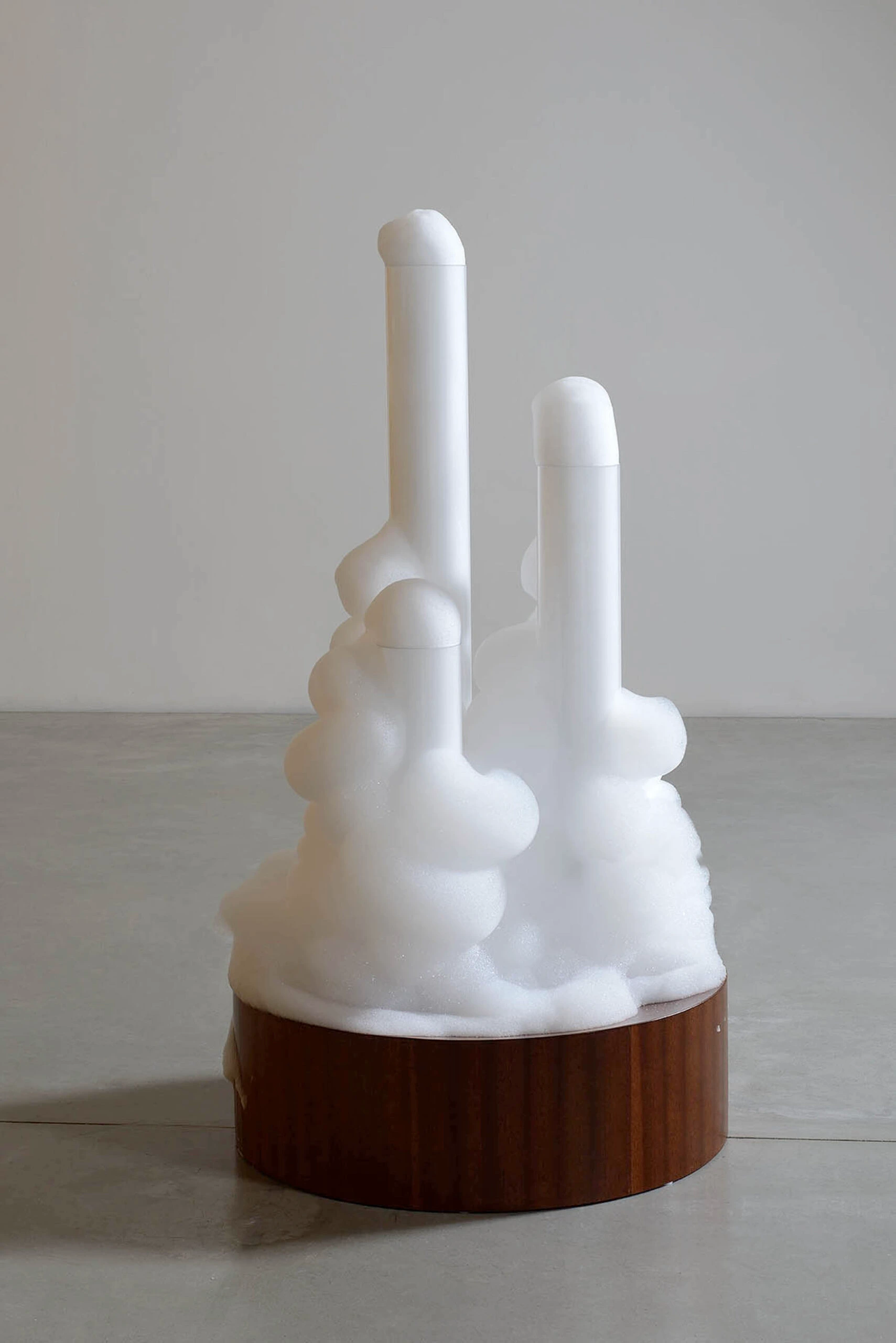 Cloud Canyons (Bubble machines auto-creative sculptures)