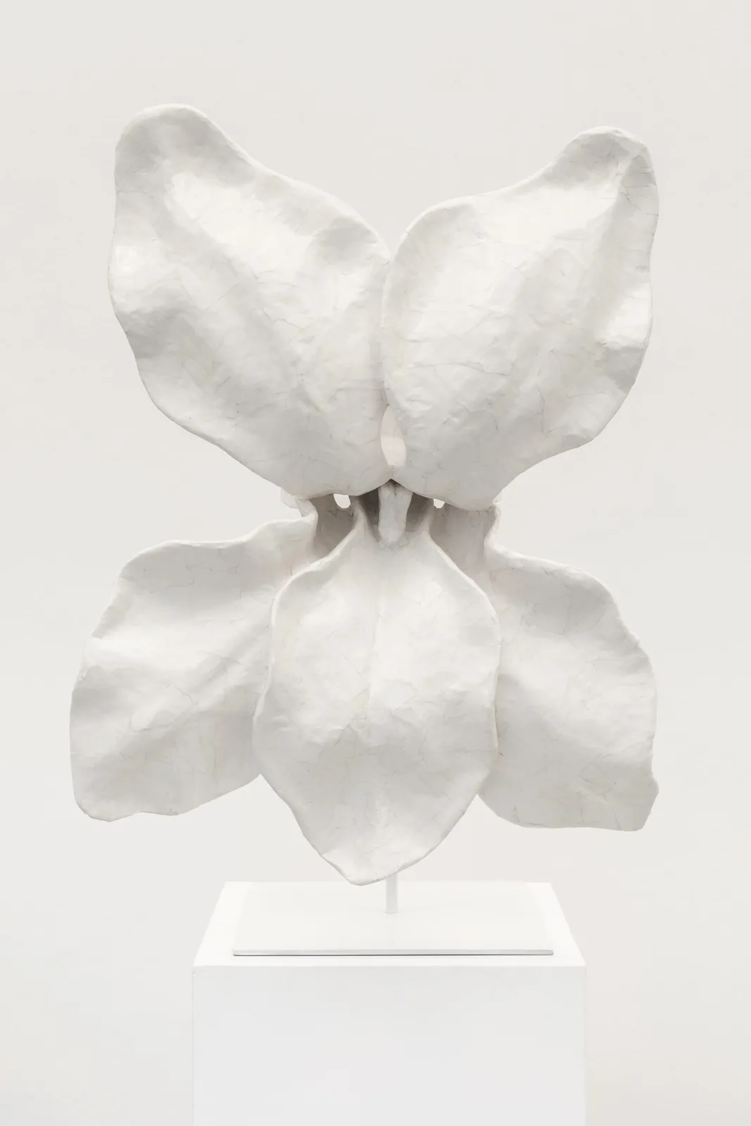 Anna Hulacova, series Let's Talk About Pollination, 2024, papier-mâché (paper and dispersion glue), metal stand, photo by Michal Czanderle, courtesy of Hunt Kastner