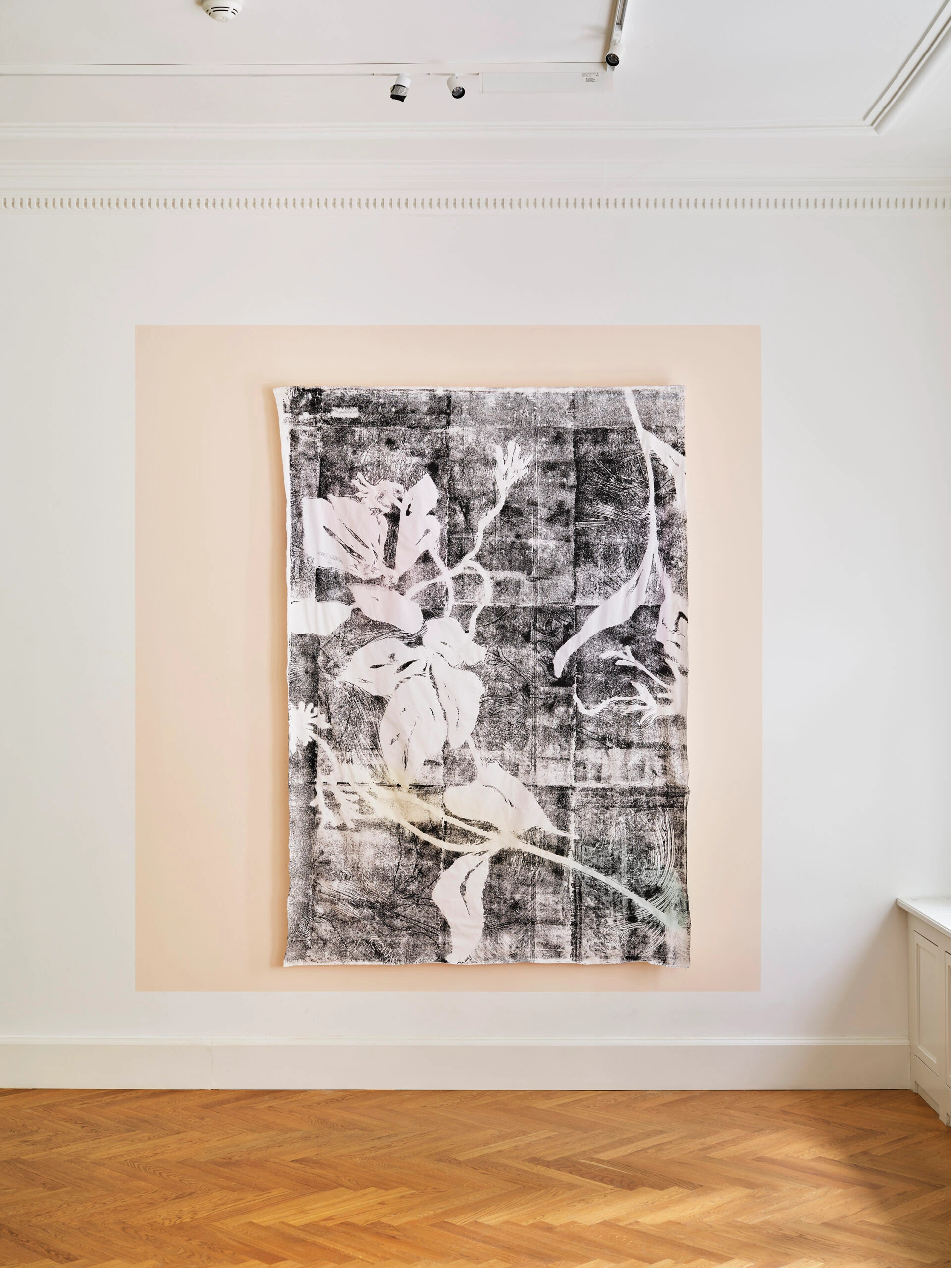 Untitled (Clematis)