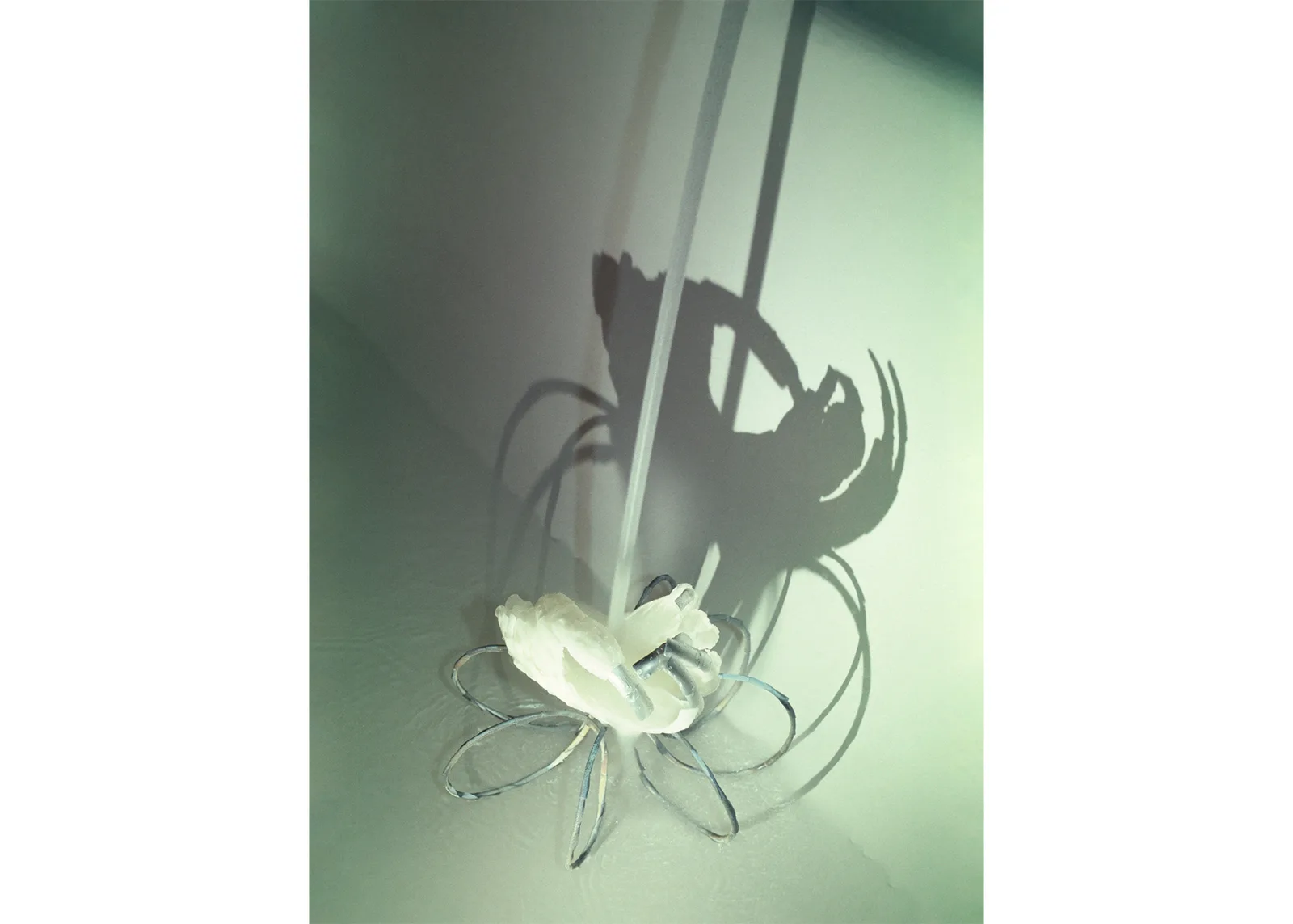 From series “Voltentity”
