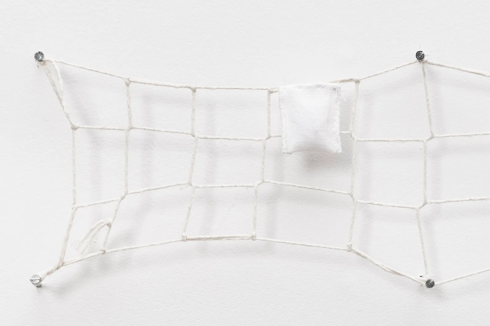 Untitled, from the Salt America series